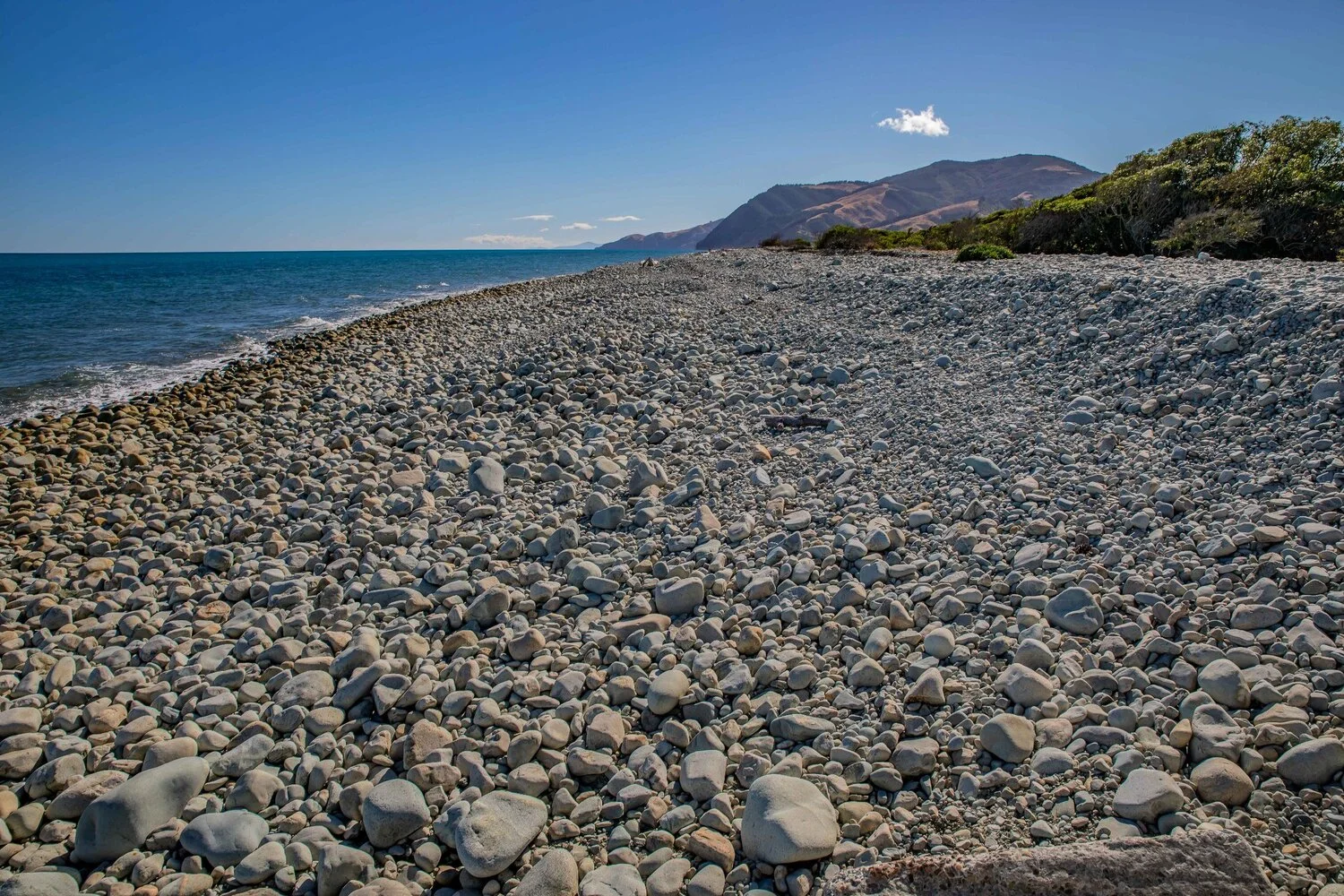 Nelson,Boulder Bank,-216.JPG