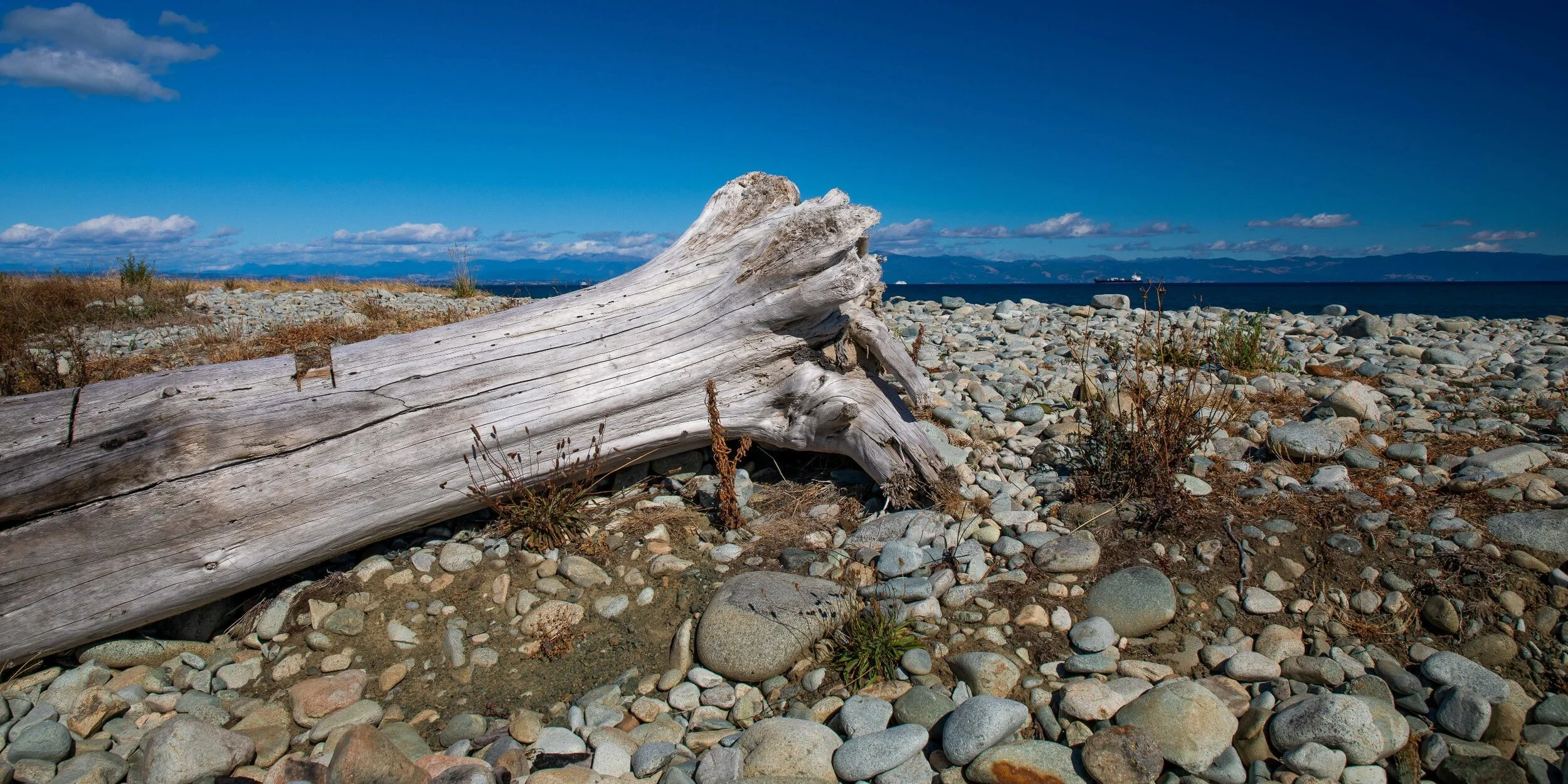 Nelson,Boulder Bank,-229.JPG