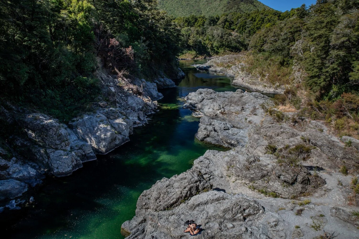 Pelorus River,-002.JPG