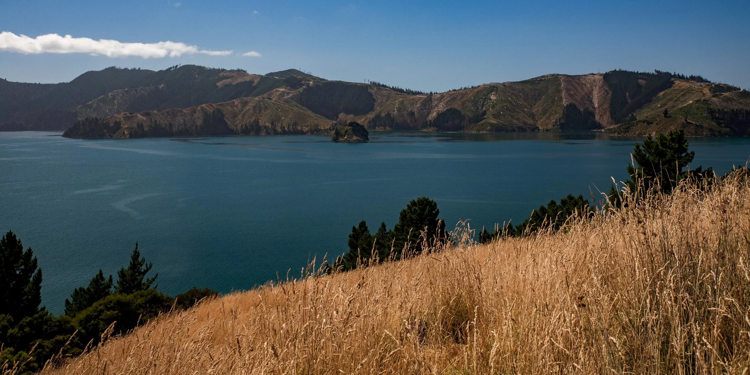 Port Underwood,-259.JPG