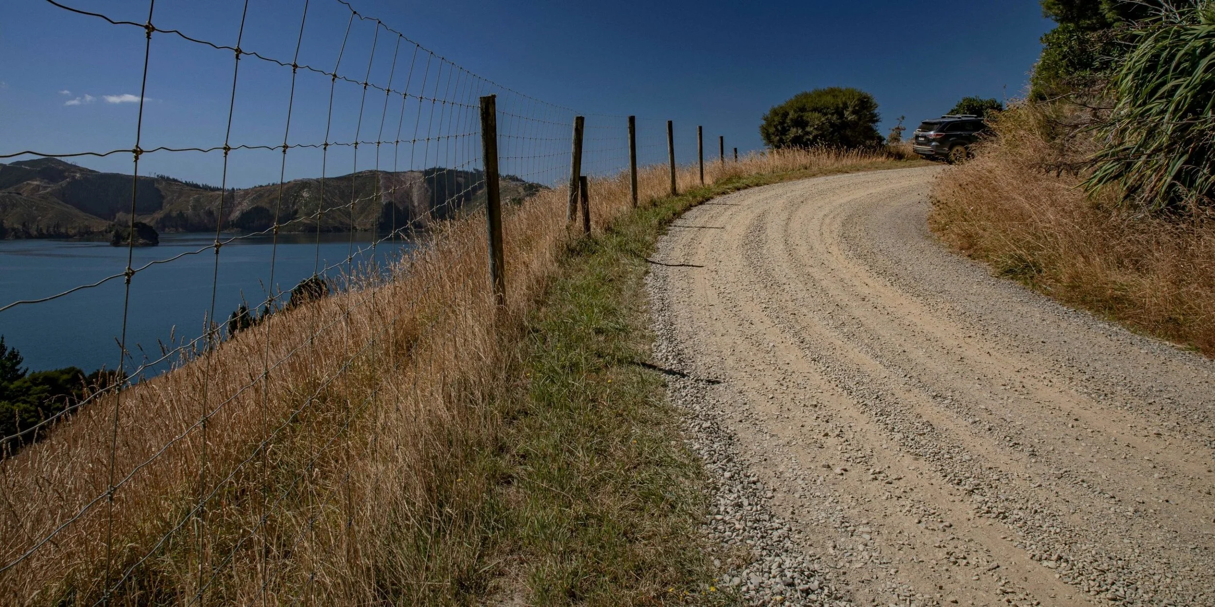 Port Underwood,Kakapo Bay,-256.JPG