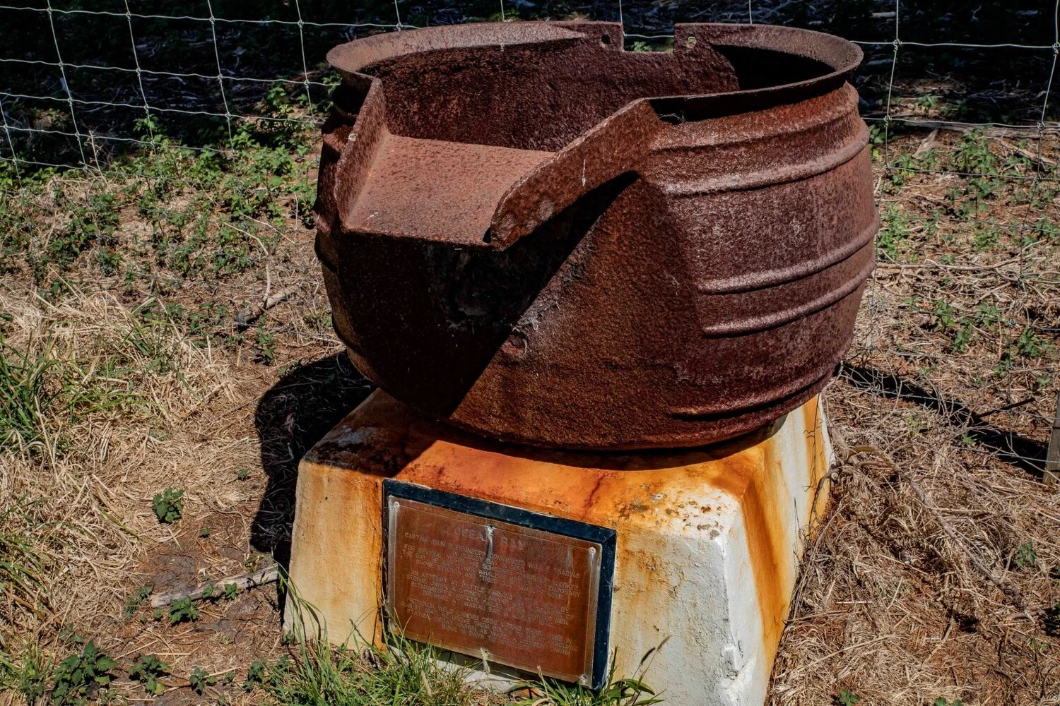 Port Underwood,Ocean Bay,-266.JPG