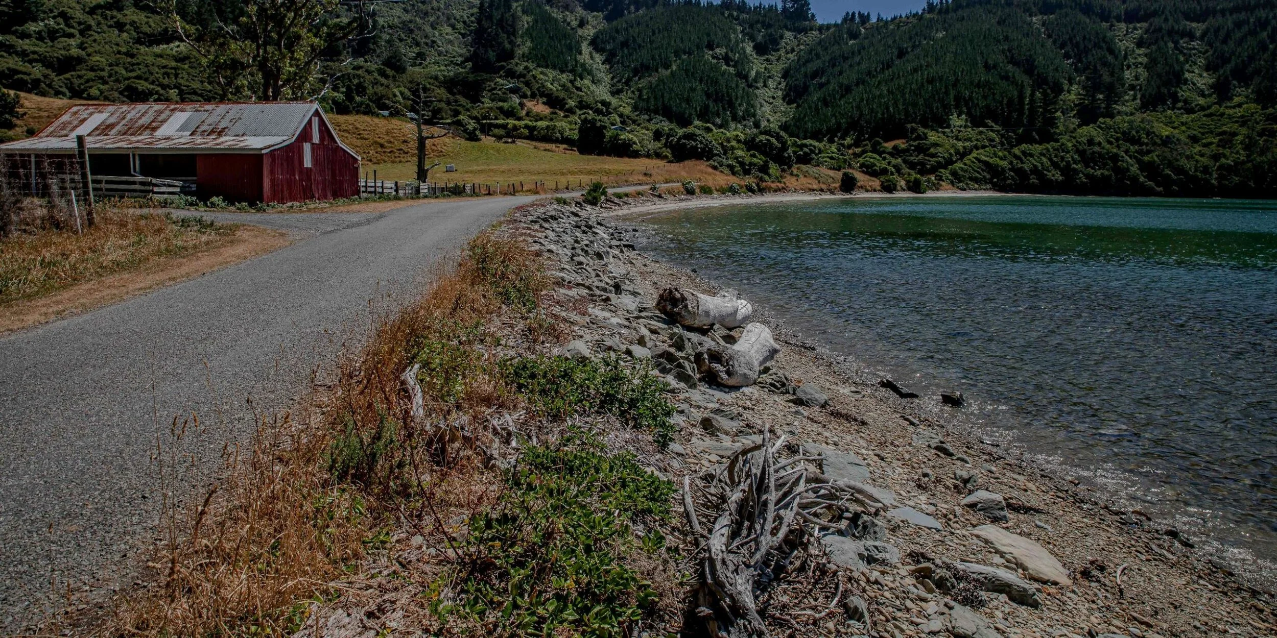 Port Underwood,Ocean Bay,-268.JPG