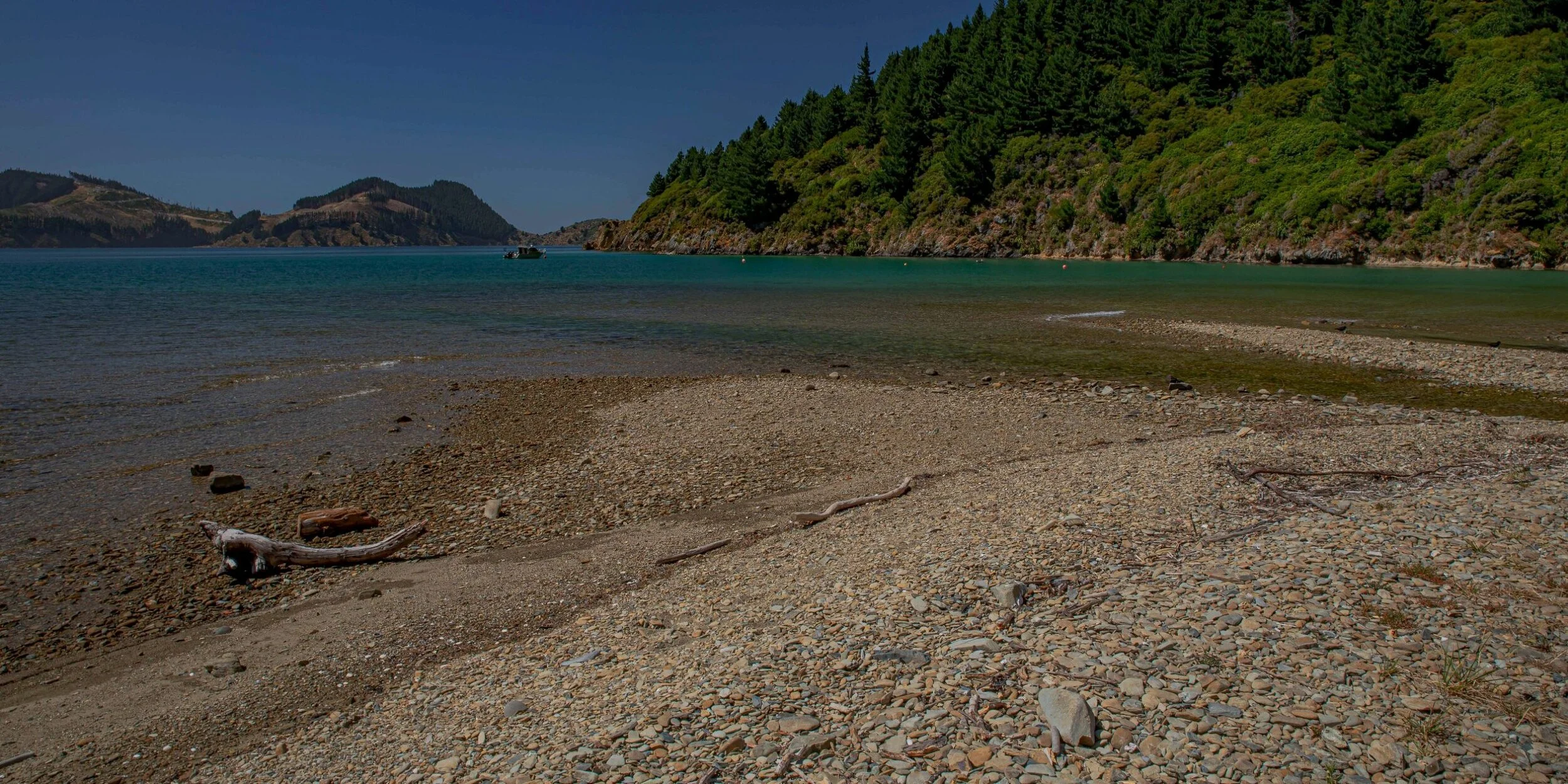 Port Underwood,Ocean Bay,-269.JPG