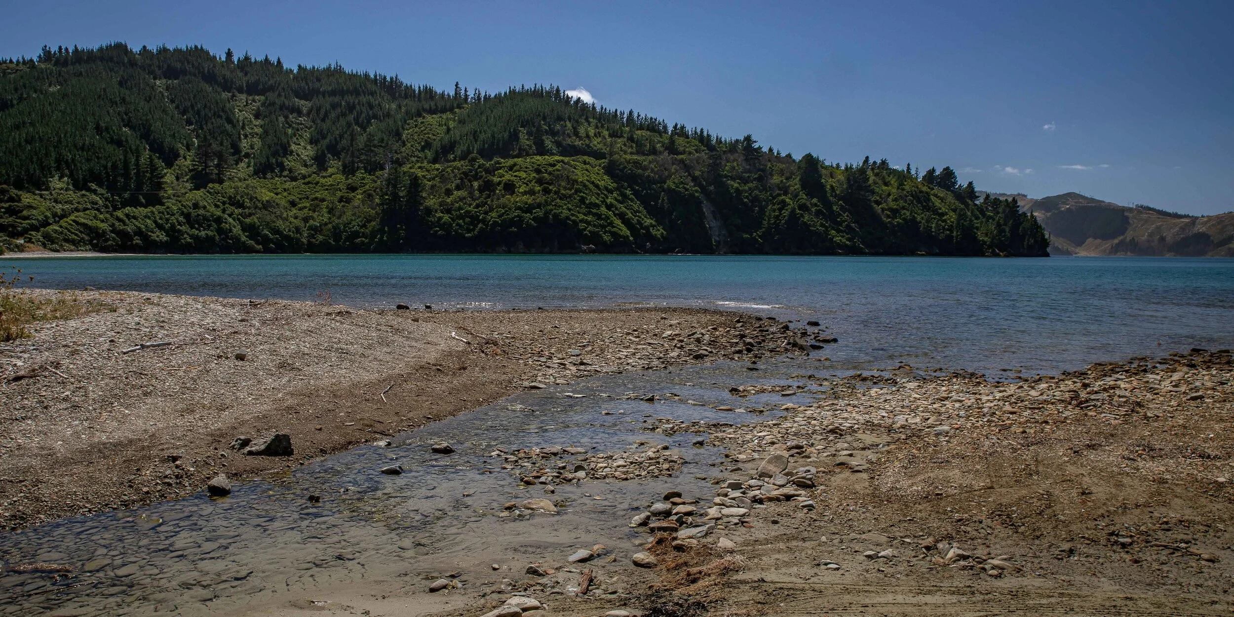 Port Underwood,Ocean Bay,-277.JPG