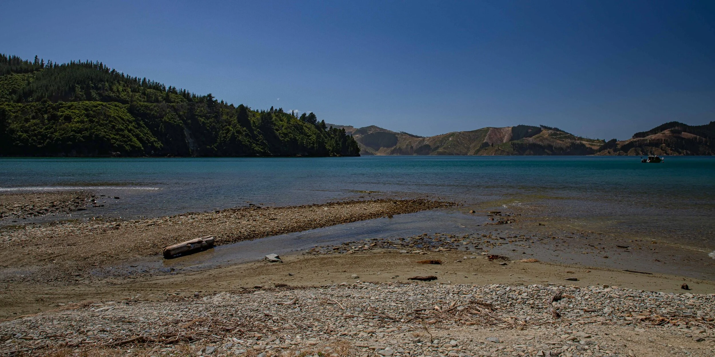 Port Underwood,Ocean Bay,-279.JPG