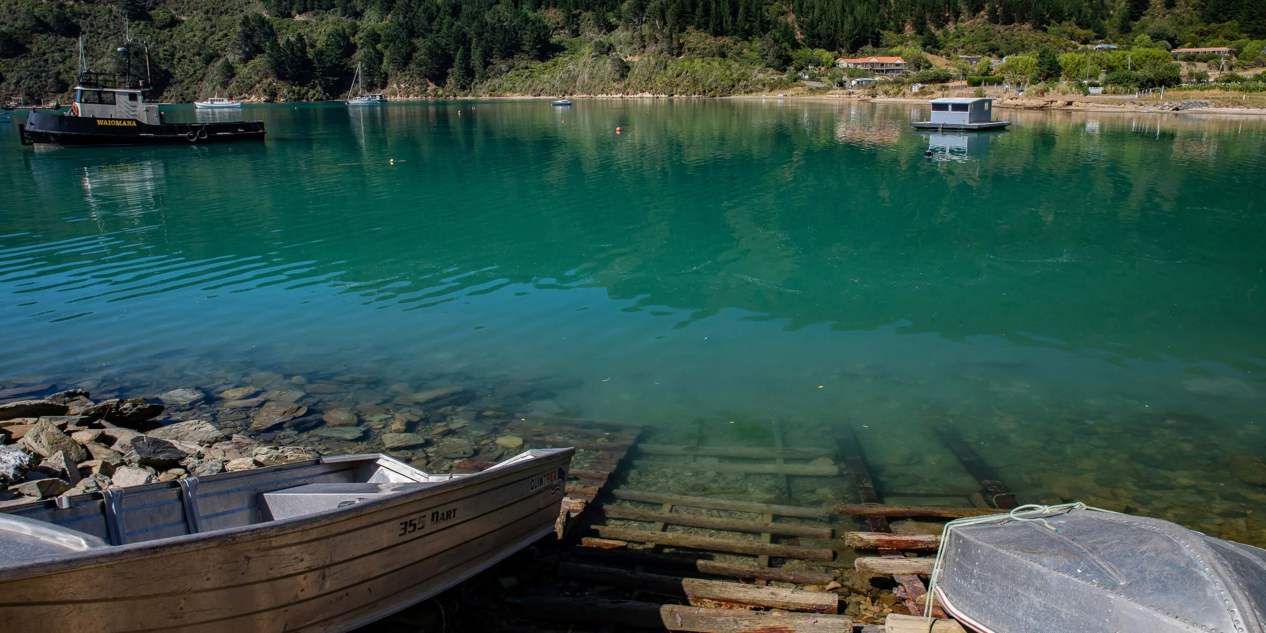 Port Underwood,Oyster Bay,-246.JPG