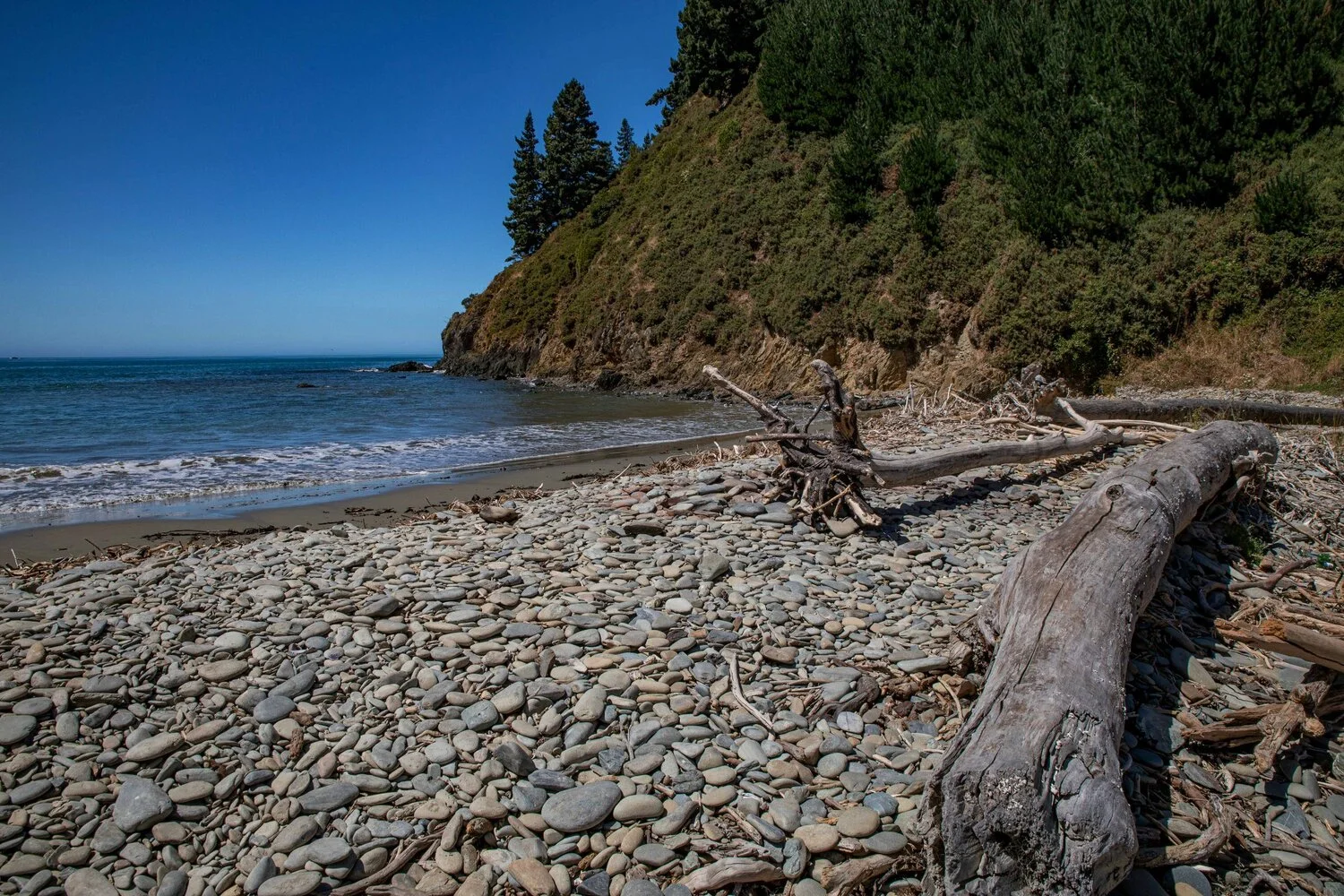Port Underwood,Robin Hood Bay,-299.JPG