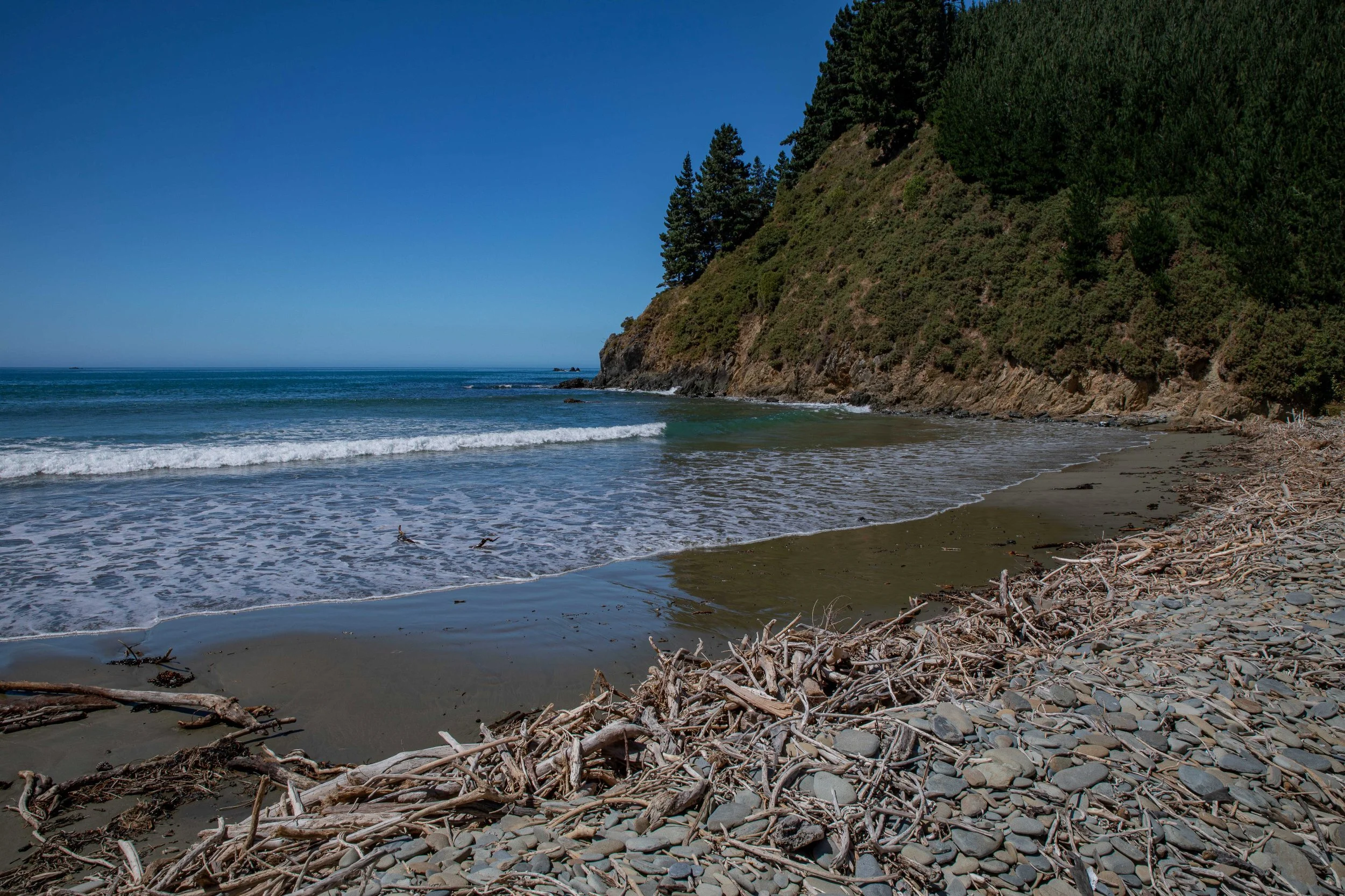 Port Underwood,Robin Hood Bay,-302.JPG