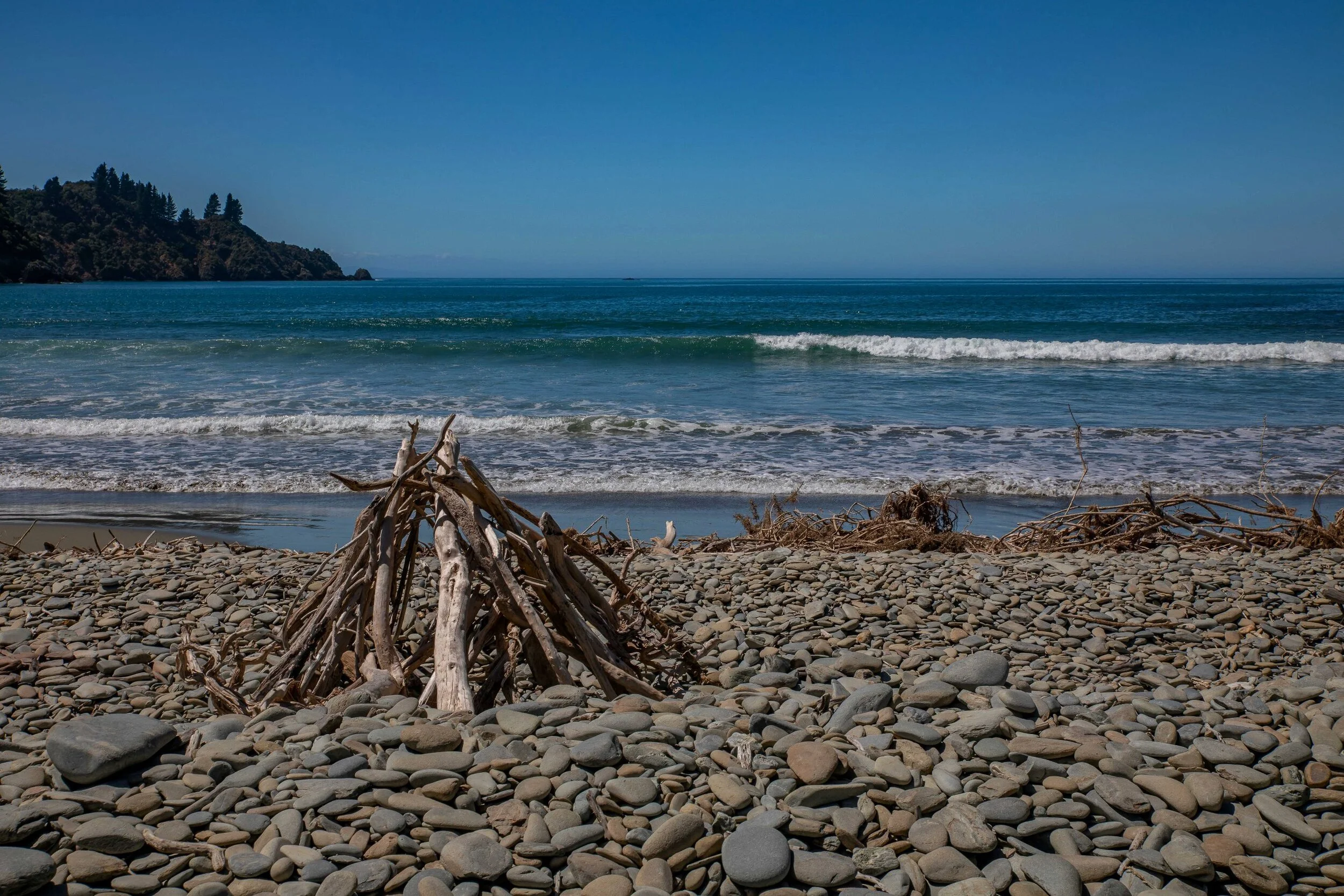 Port Underwood,Robin Hood Bay,-303.JPG