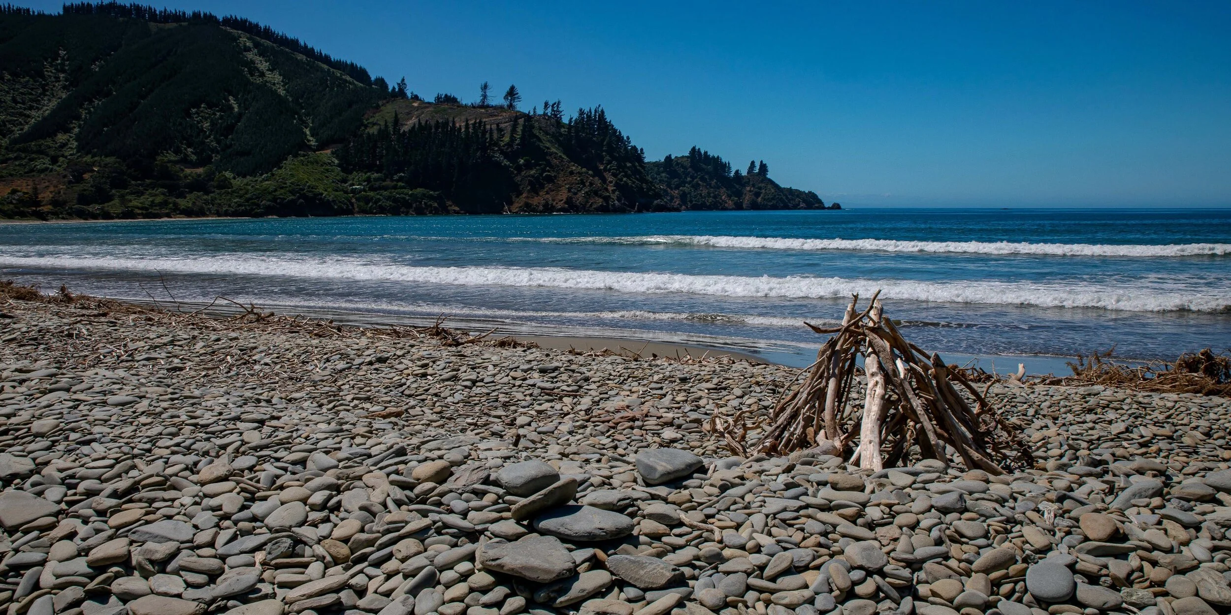 Port Underwood,Robin Hood Bay,-304.JPG