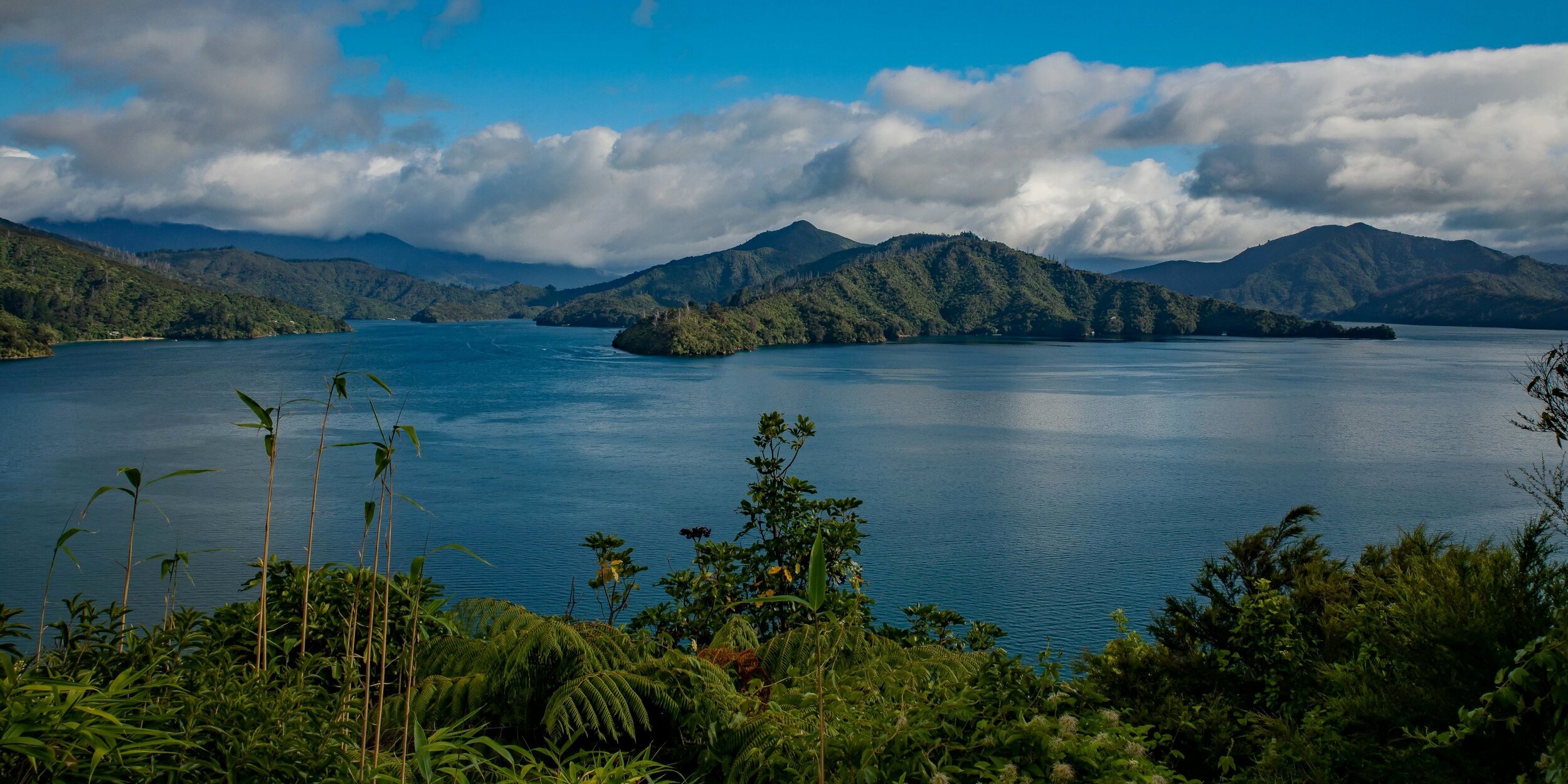 Queen Charlotte Sound,-070.JPG