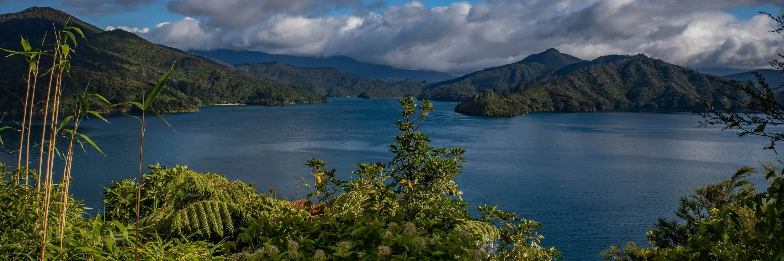 Queen Charlotte Sound,-071.JPG