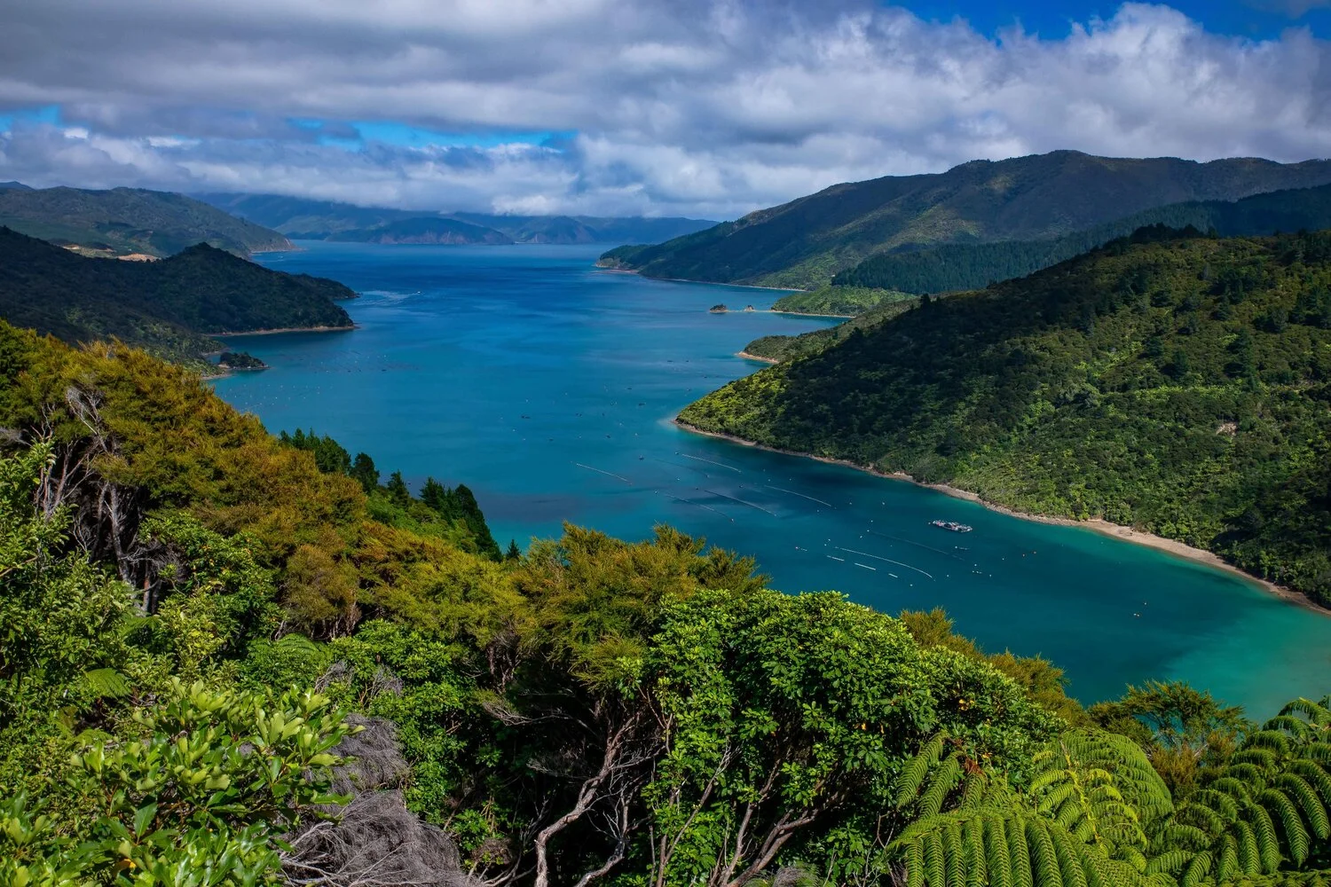 Squally Cove,-007.JPG