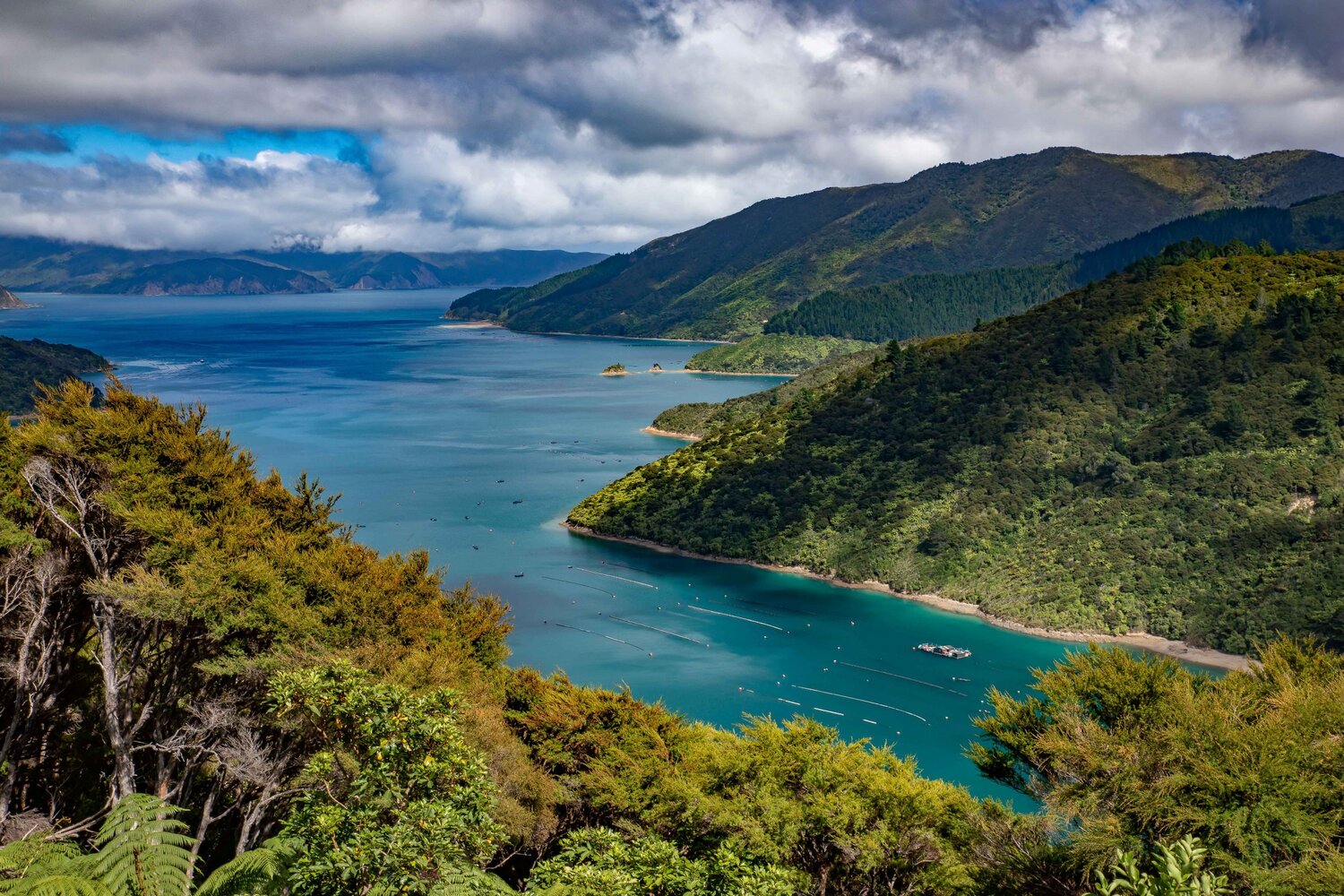 Squally Cove,-011.JPG