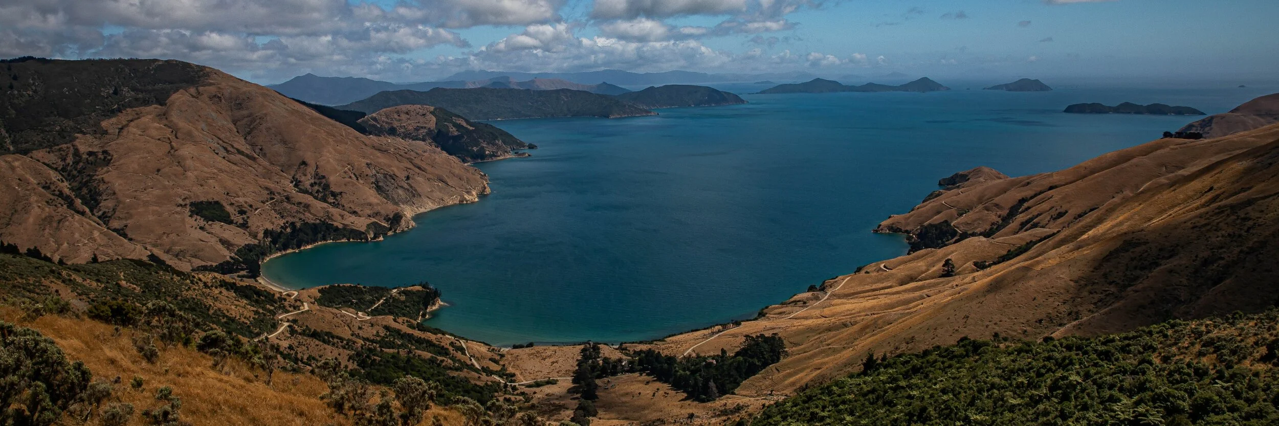 Titirangi Bay,-103.JPG