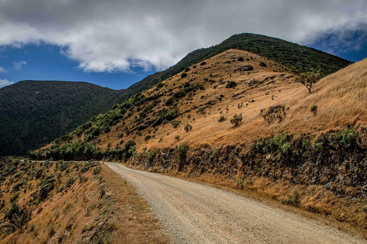 Titirangi Farm Park,-107.JPG