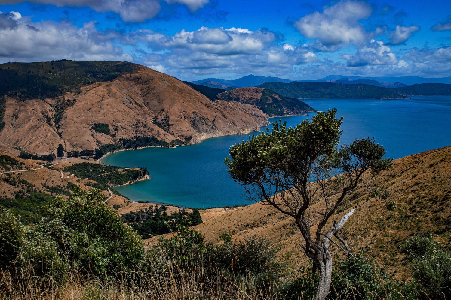 Titirangi Farm Park,-116.JPG