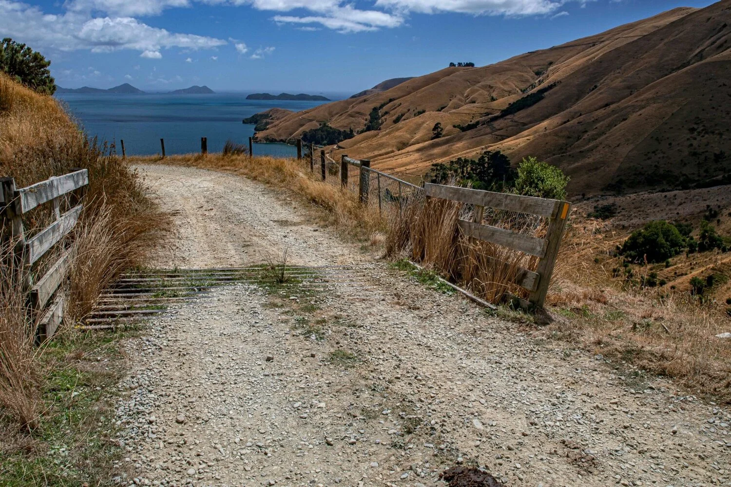 Titirangi Farm Park,-124.JPG