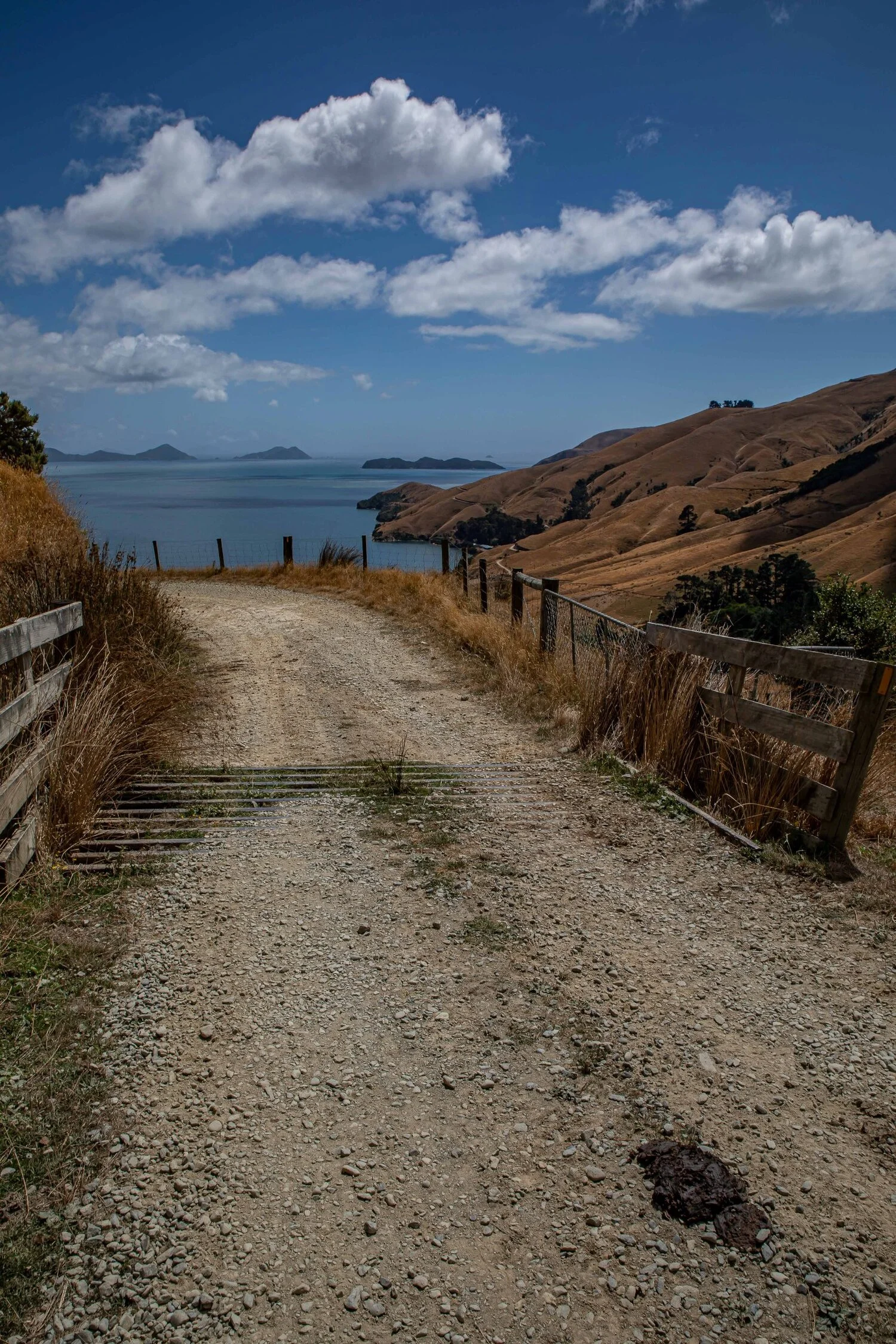 Titirangi Farm Park,-125.JPG
