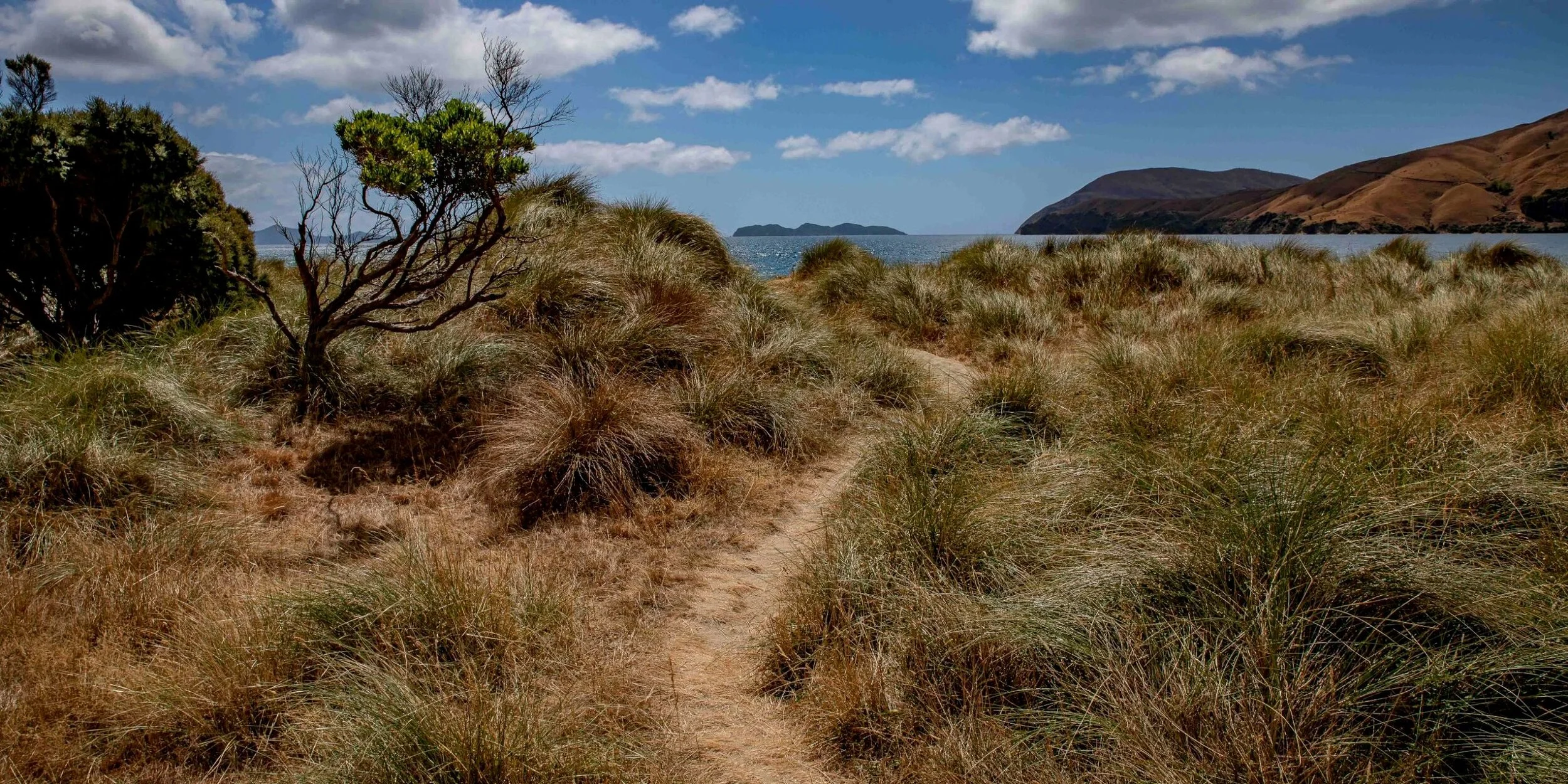 Titirangi Farm Park,-149.JPG