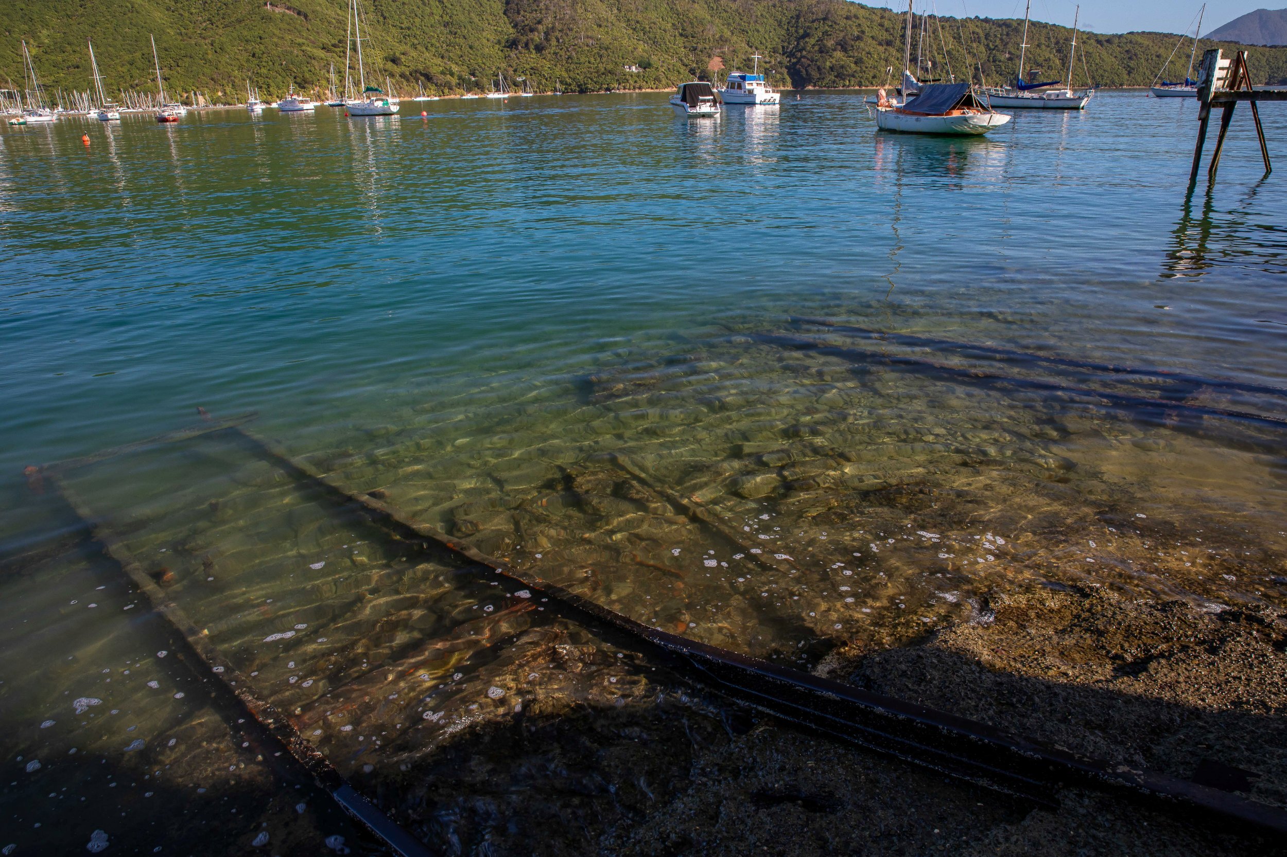 Waikawa Bay,-199.JPG
