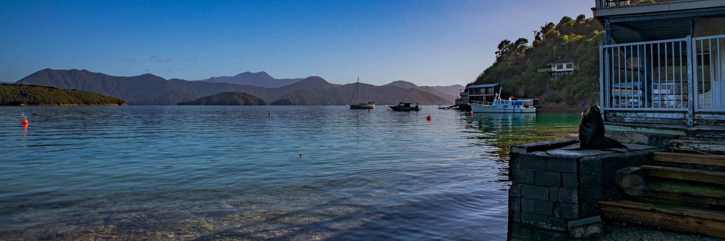 Waikawa Bay,-209.JPG