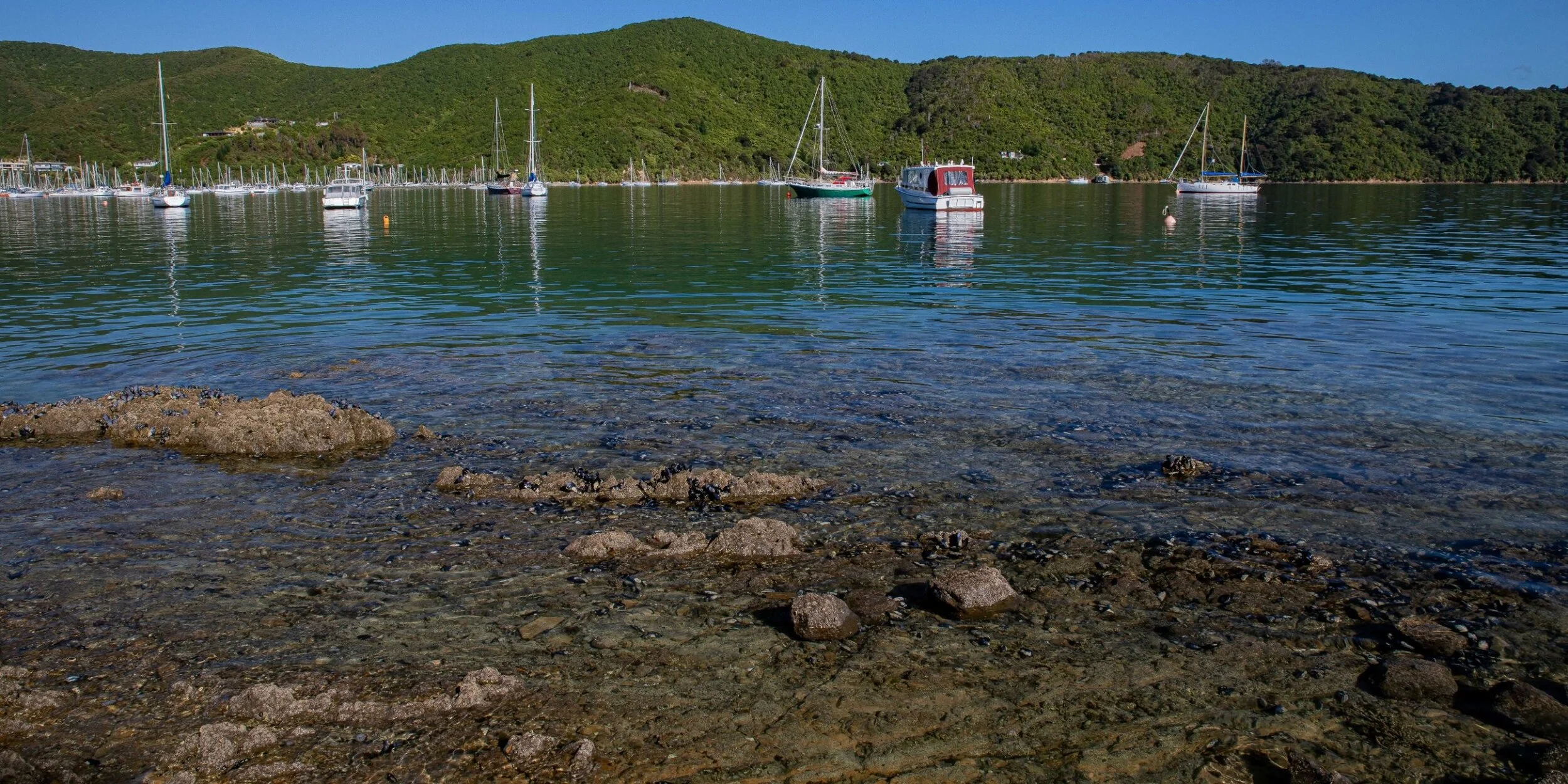 Waikawa Bay,-212.JPG