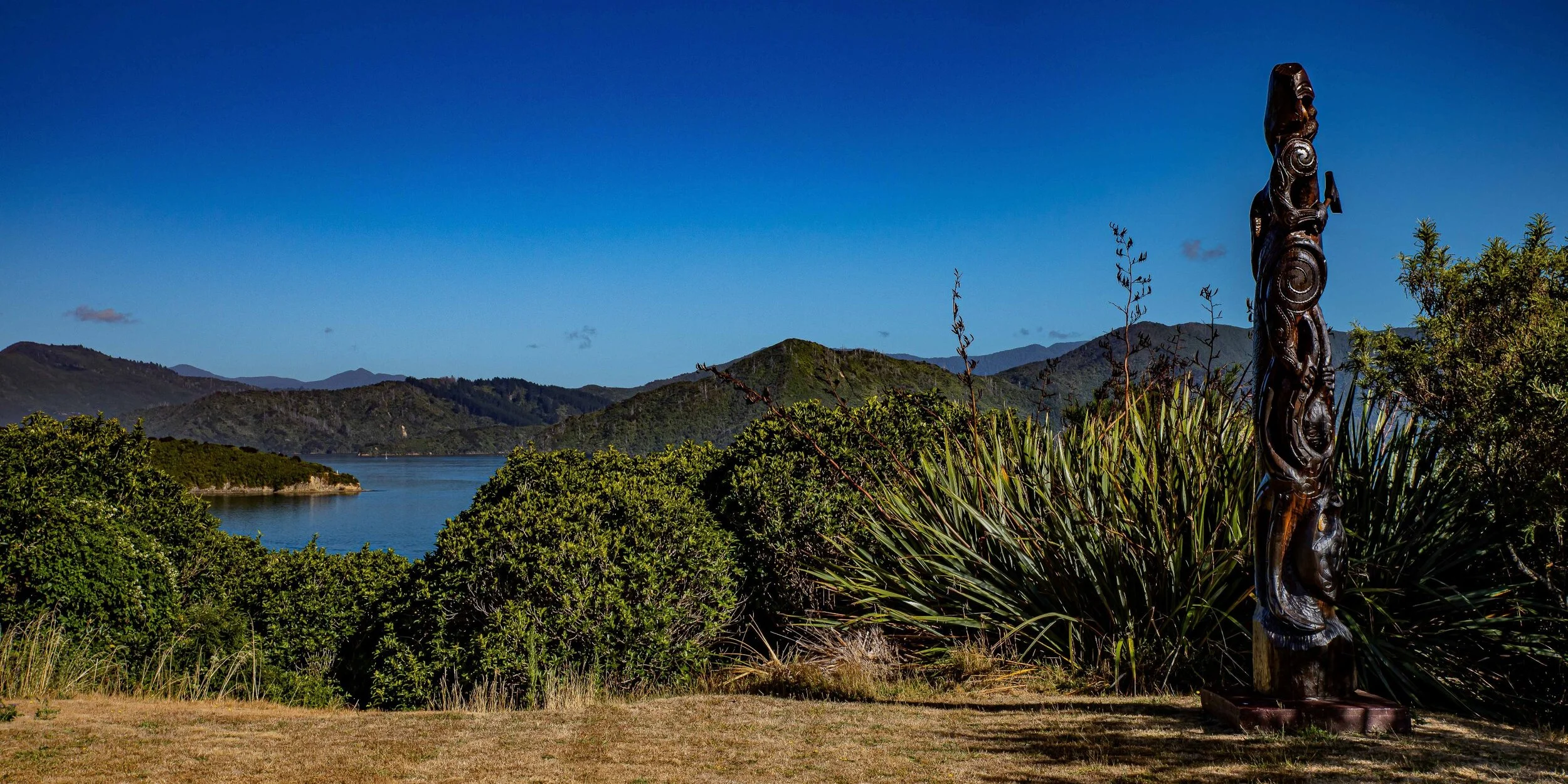 Waikawa Bay,Karaka Point,-218.JPG