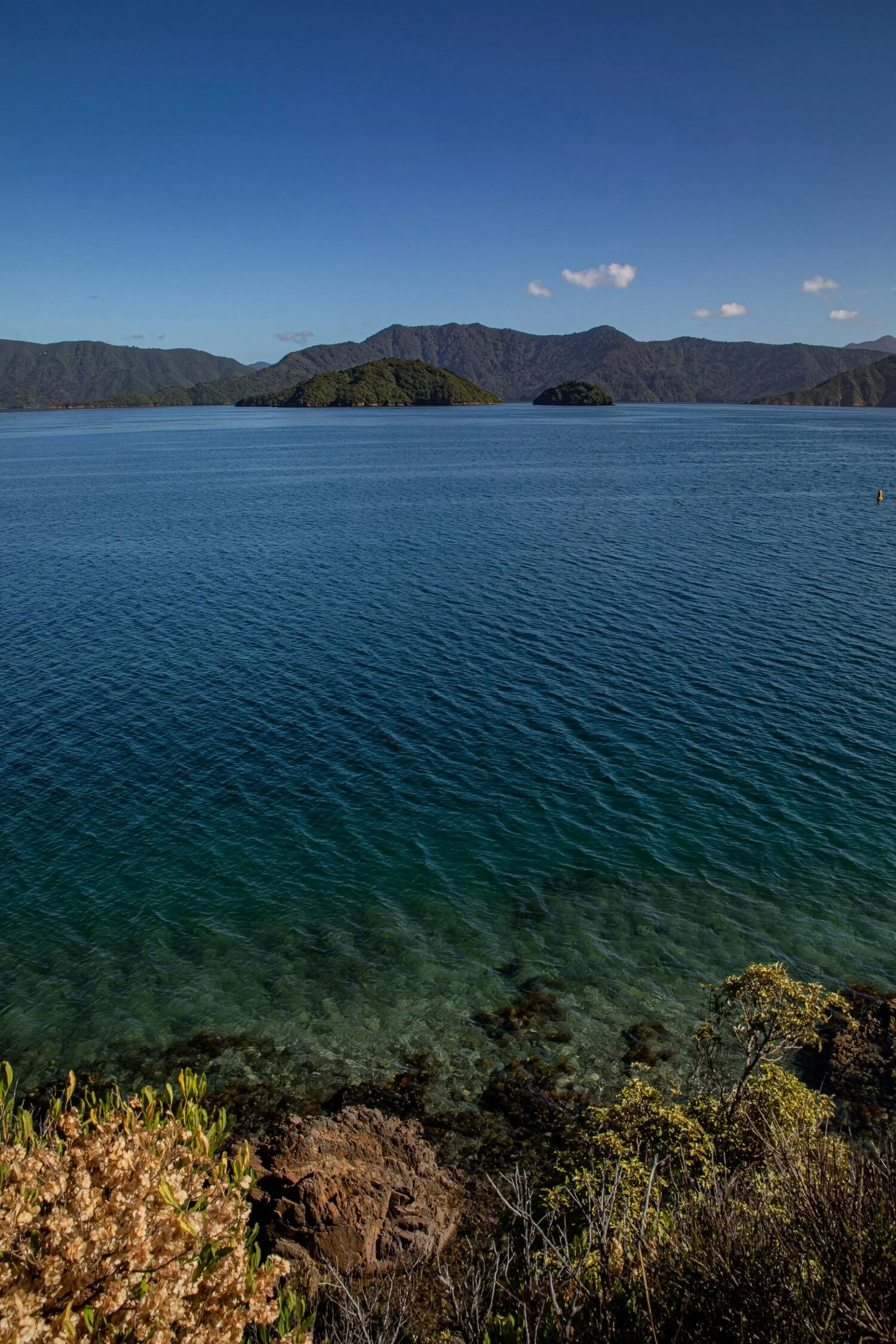 Waikawa Bay,Karaka Point,-231.JPG