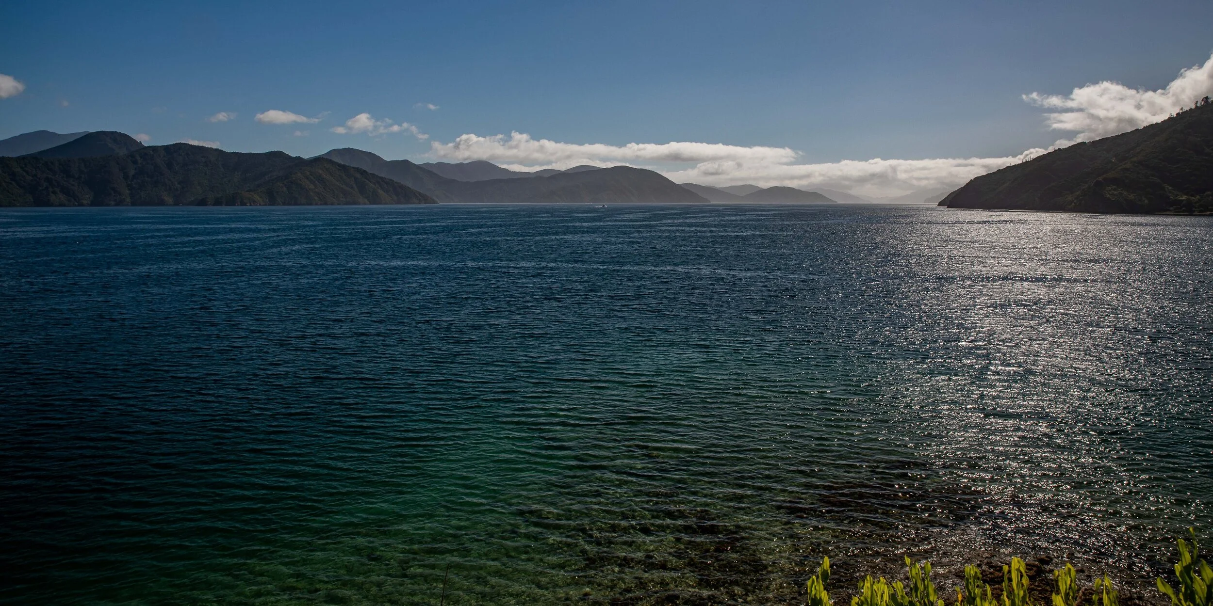 Waikawa Bay,Karaka Point,-232.JPG