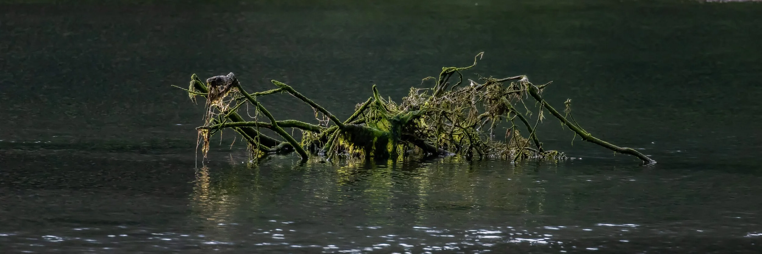 Waipawa Bay,-161.JPG