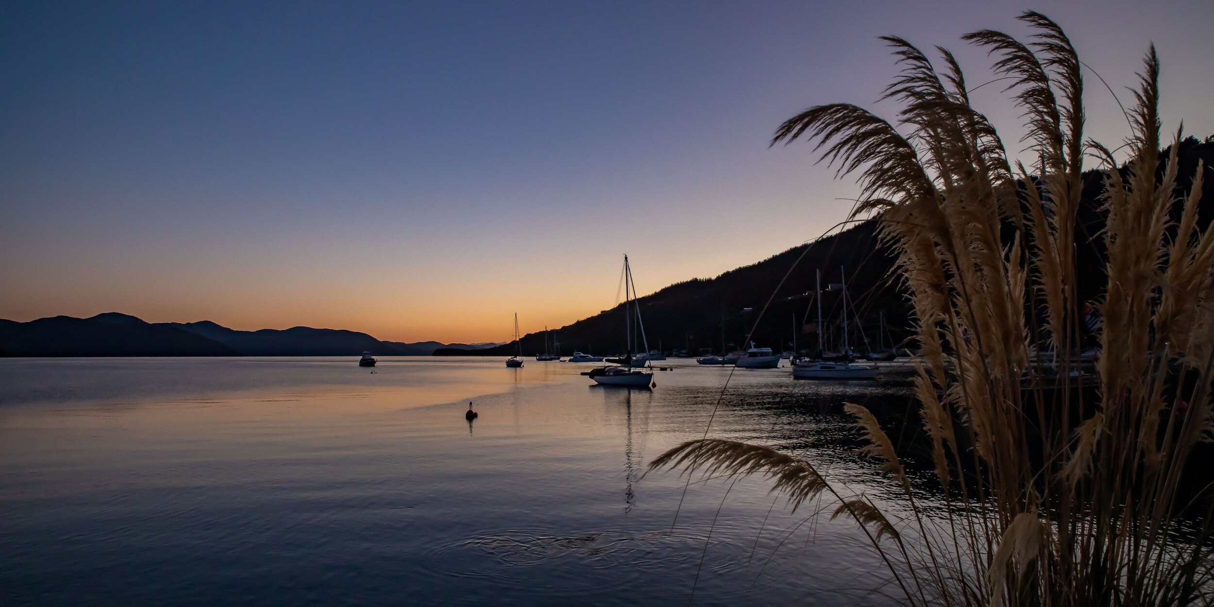 Waipawa Dawn,-194.JPG