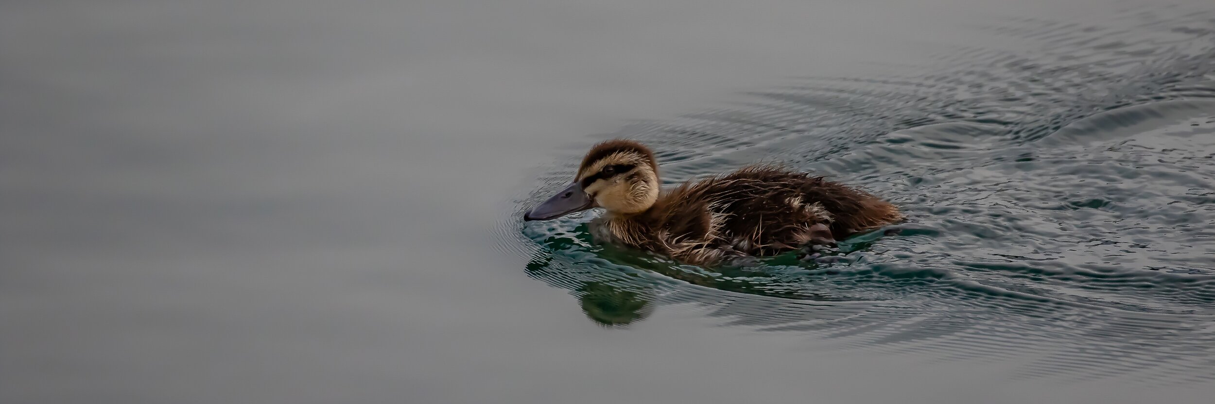 Waipawa Marina,-146.JPG