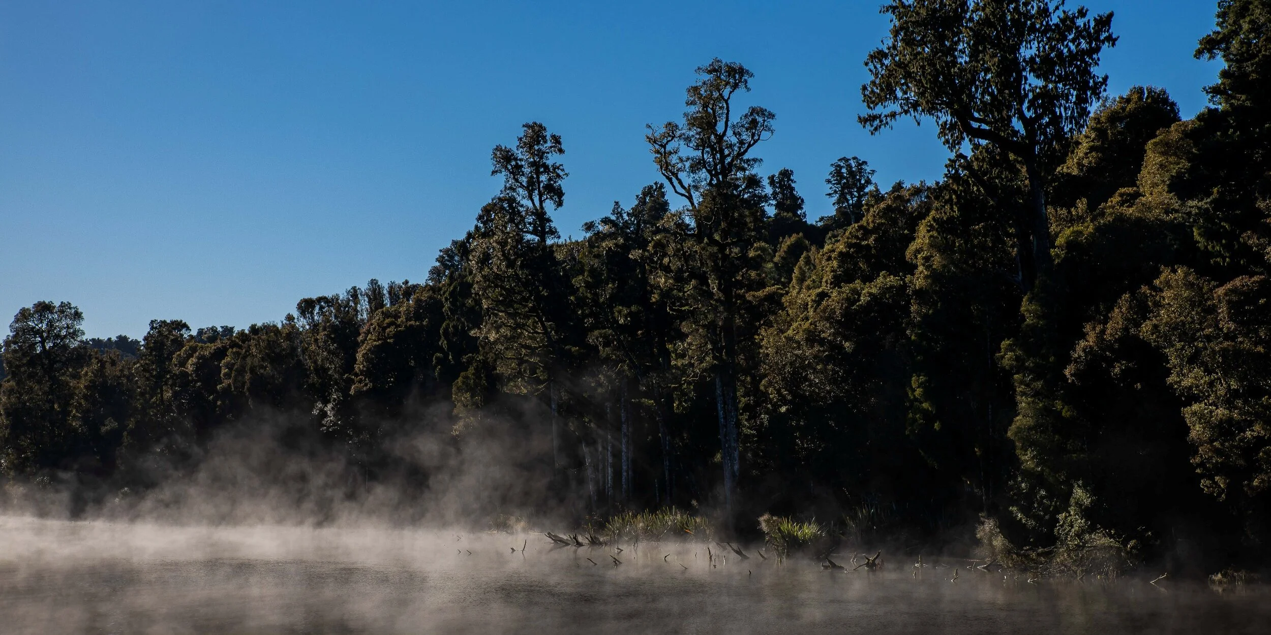 Lake Brunner,-579.JPG