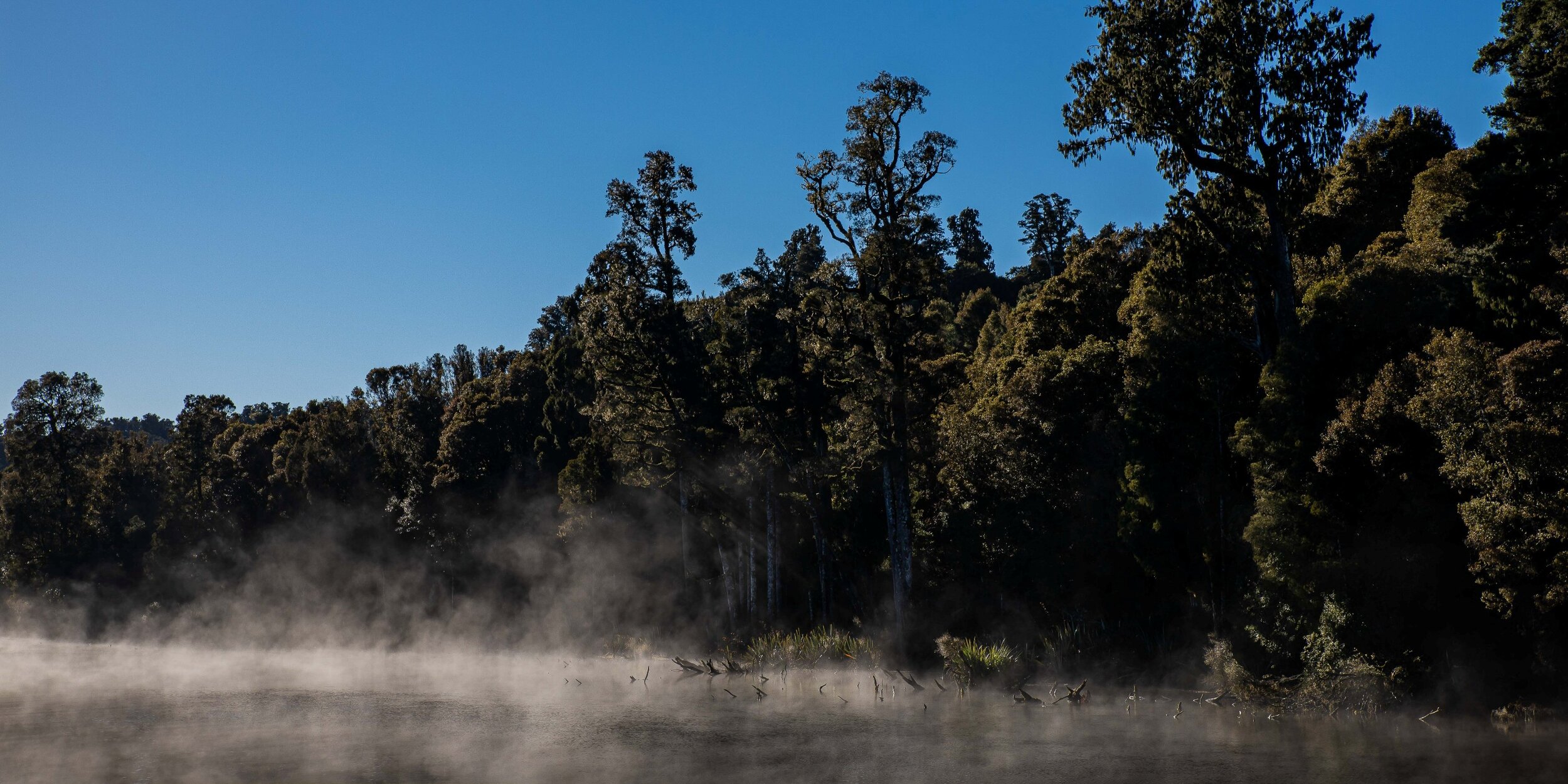 Lake Brunner,-579.JPG