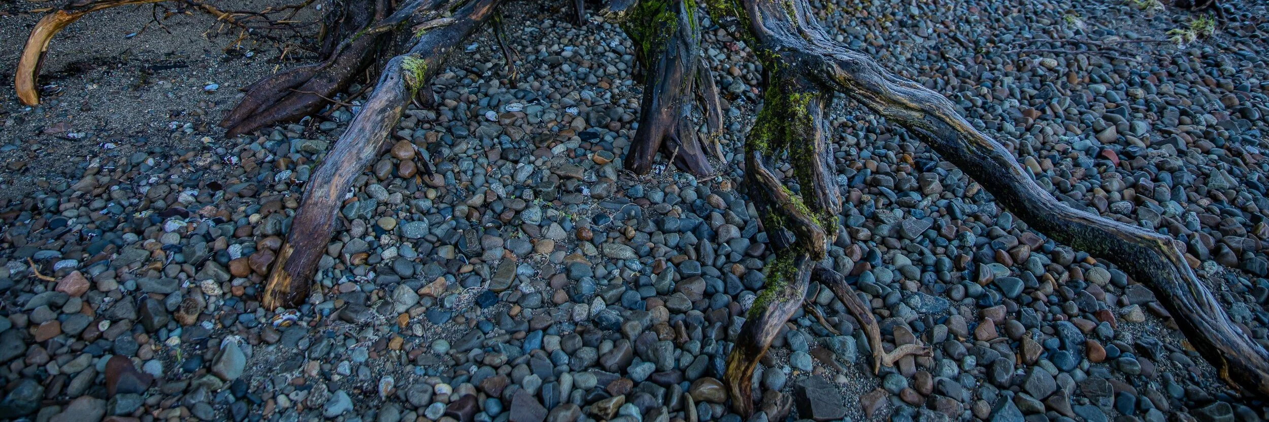 Lake Brunner,-661.JPG