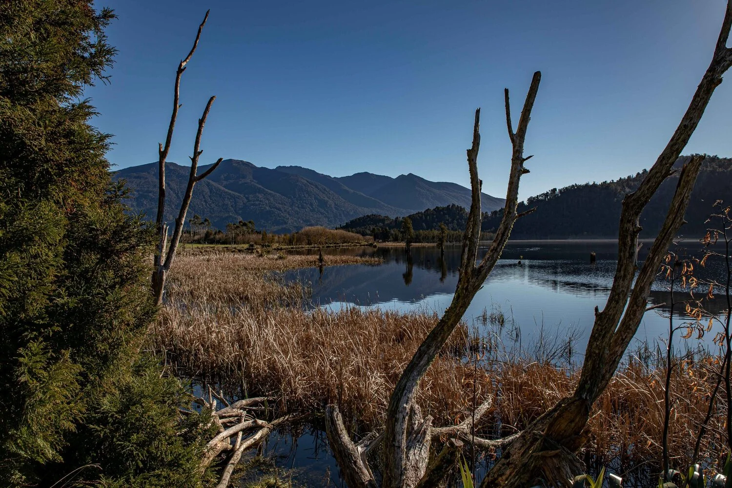 Lake Poerua,-711.JPG