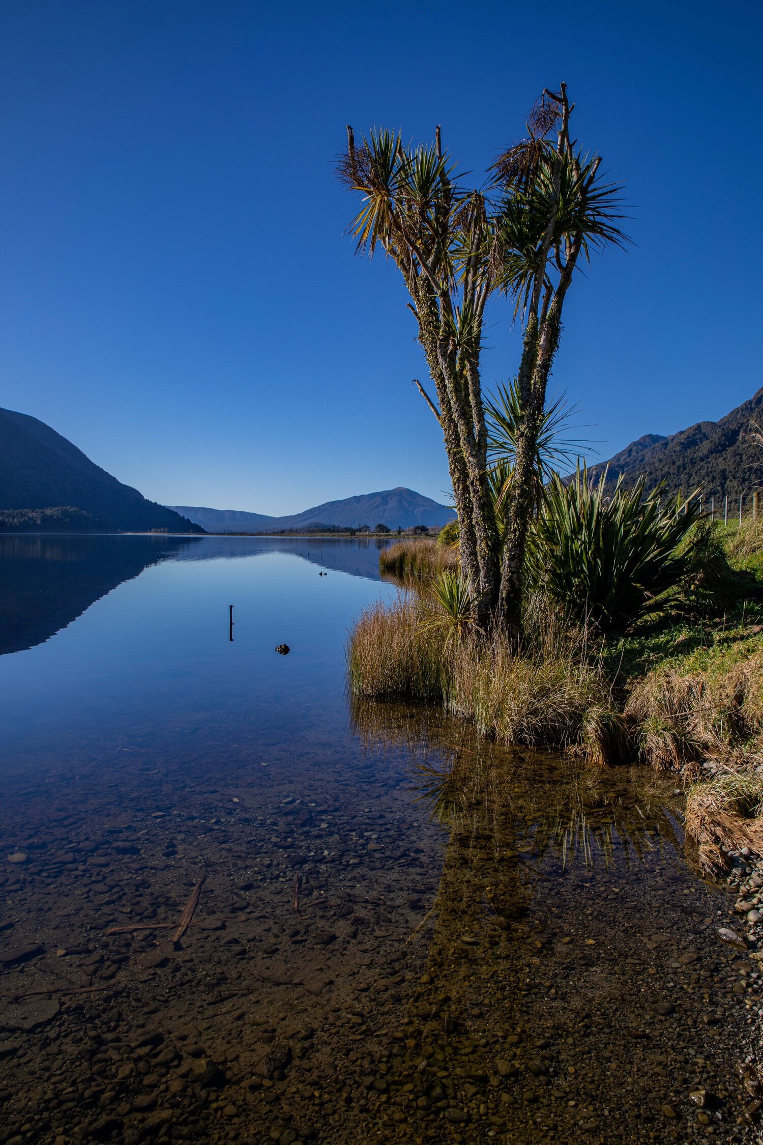 Lake Poerua,-718.JPG