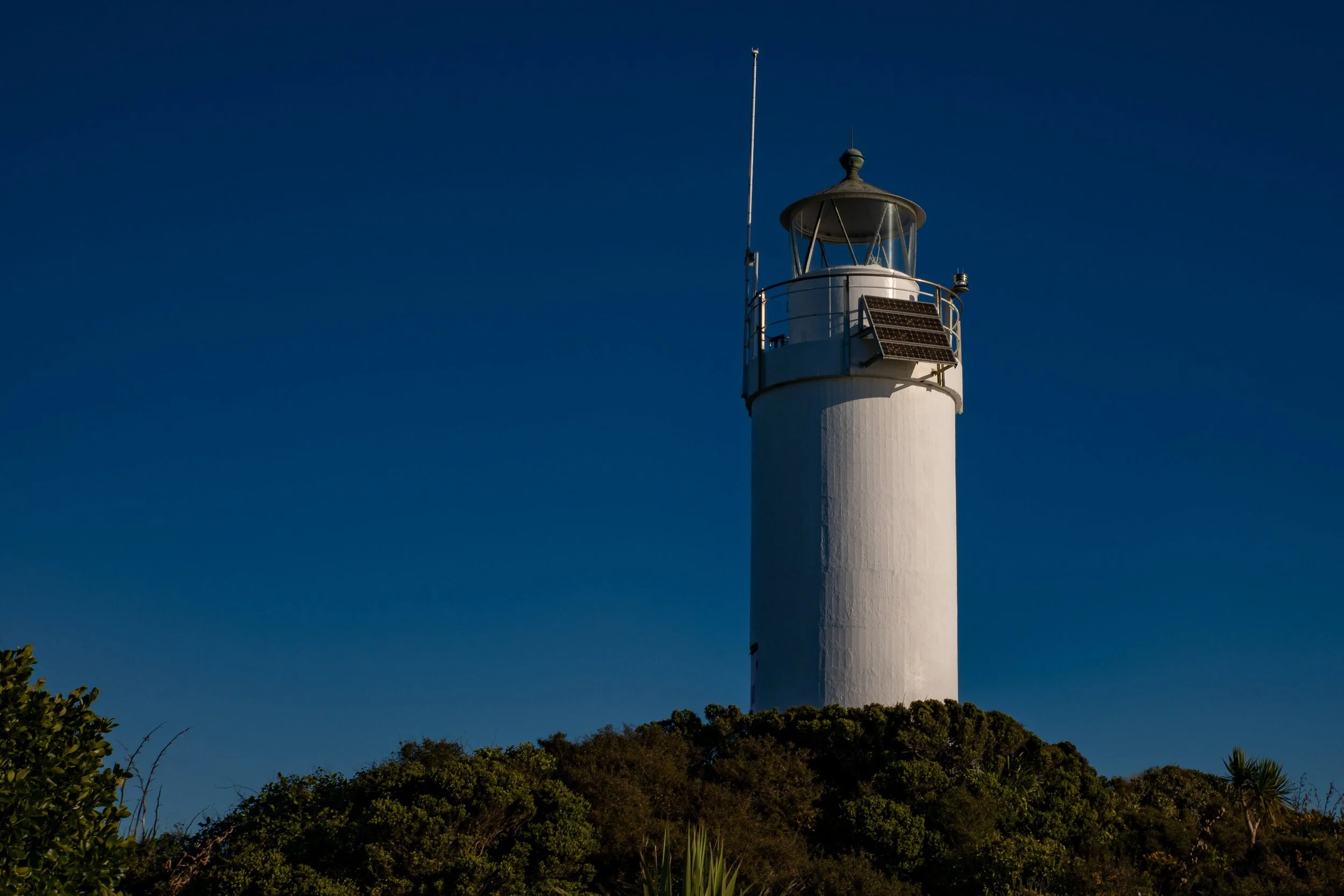 Cape Foulwind,-427.JPG