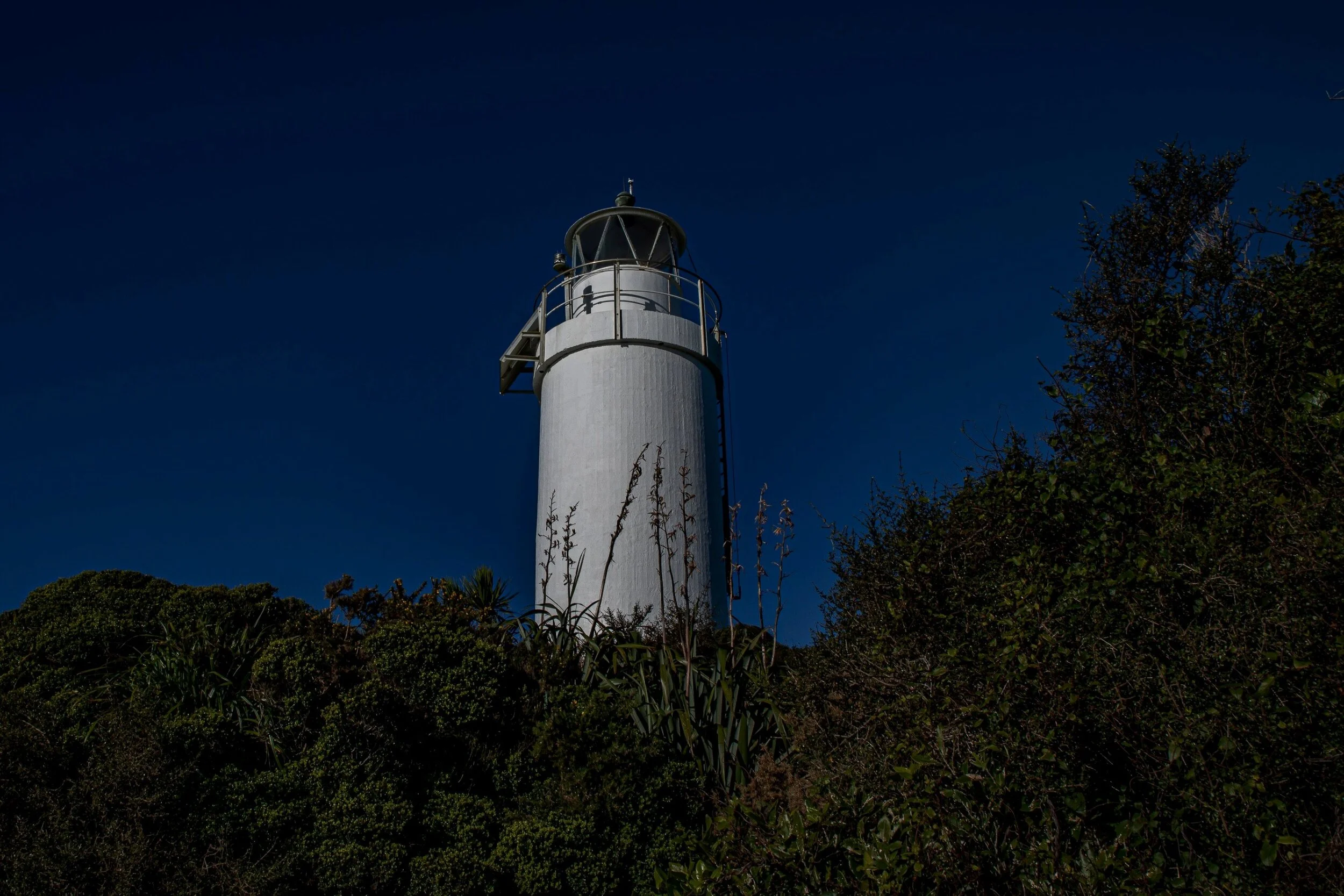 Cape Foulwind,-428.JPG
