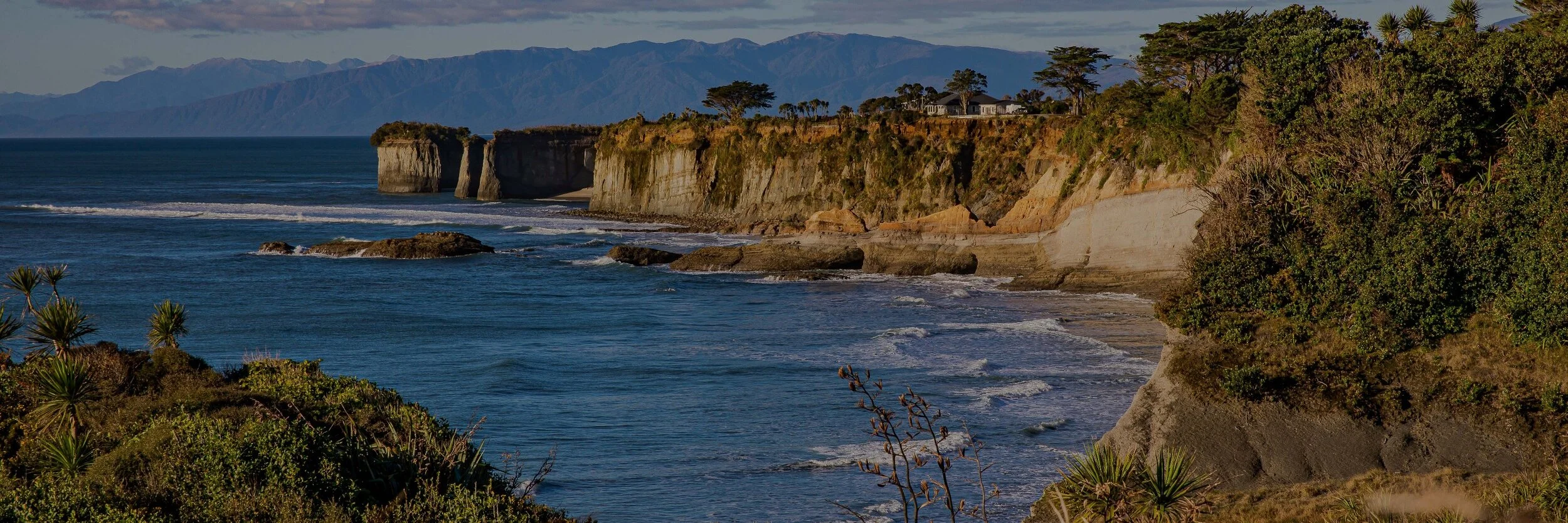 Cape Foulwind,-442.JPG