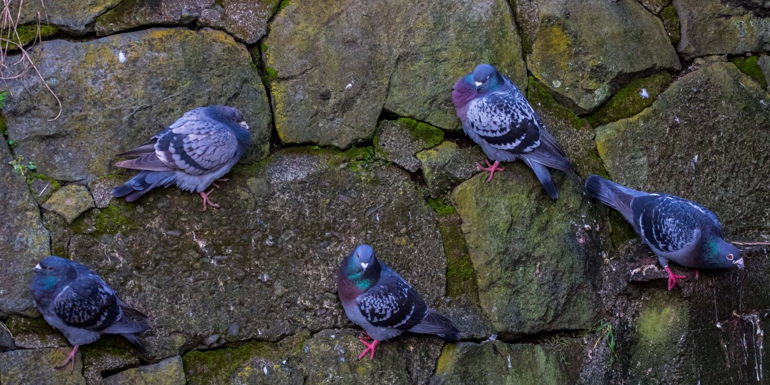 New Plymouth,-5341.JPG