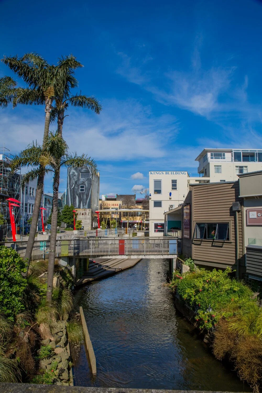 New Plymouth,-6244.JPG