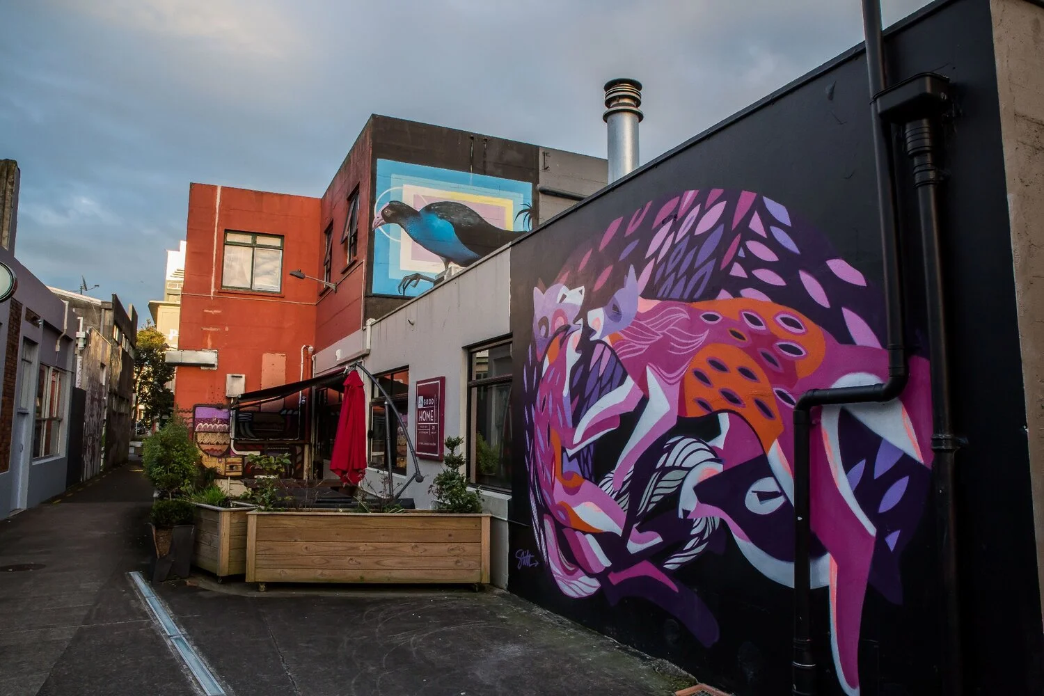 New Plymouth,-6618.JPG