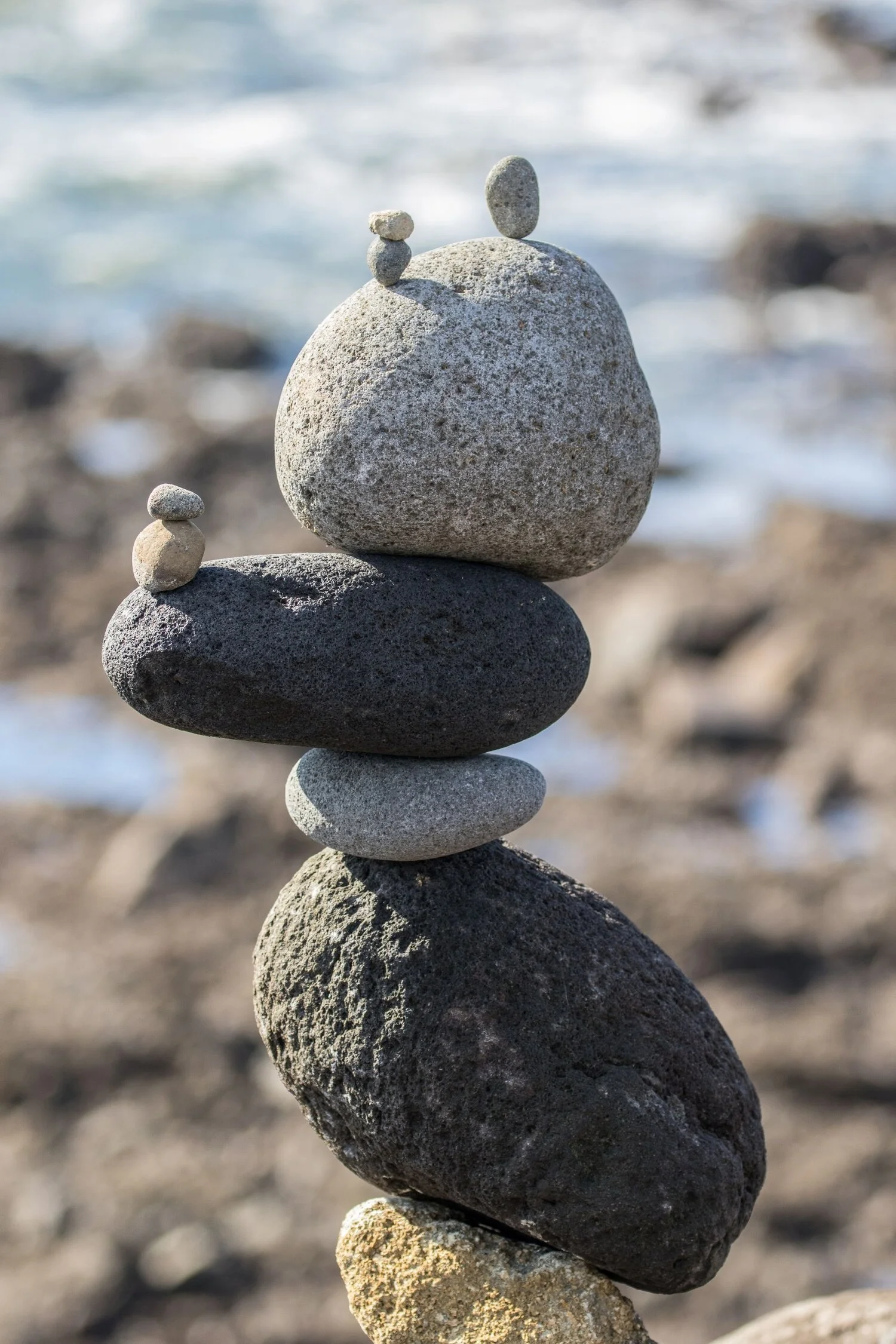 New Plymouth,Coastal Walk,-4987.JPG