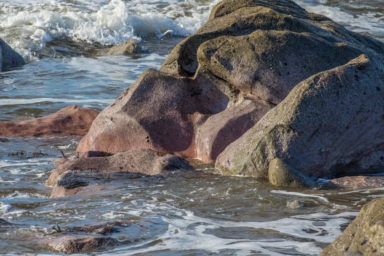 New Plymouth,Coastal Walk,-5096.JPG