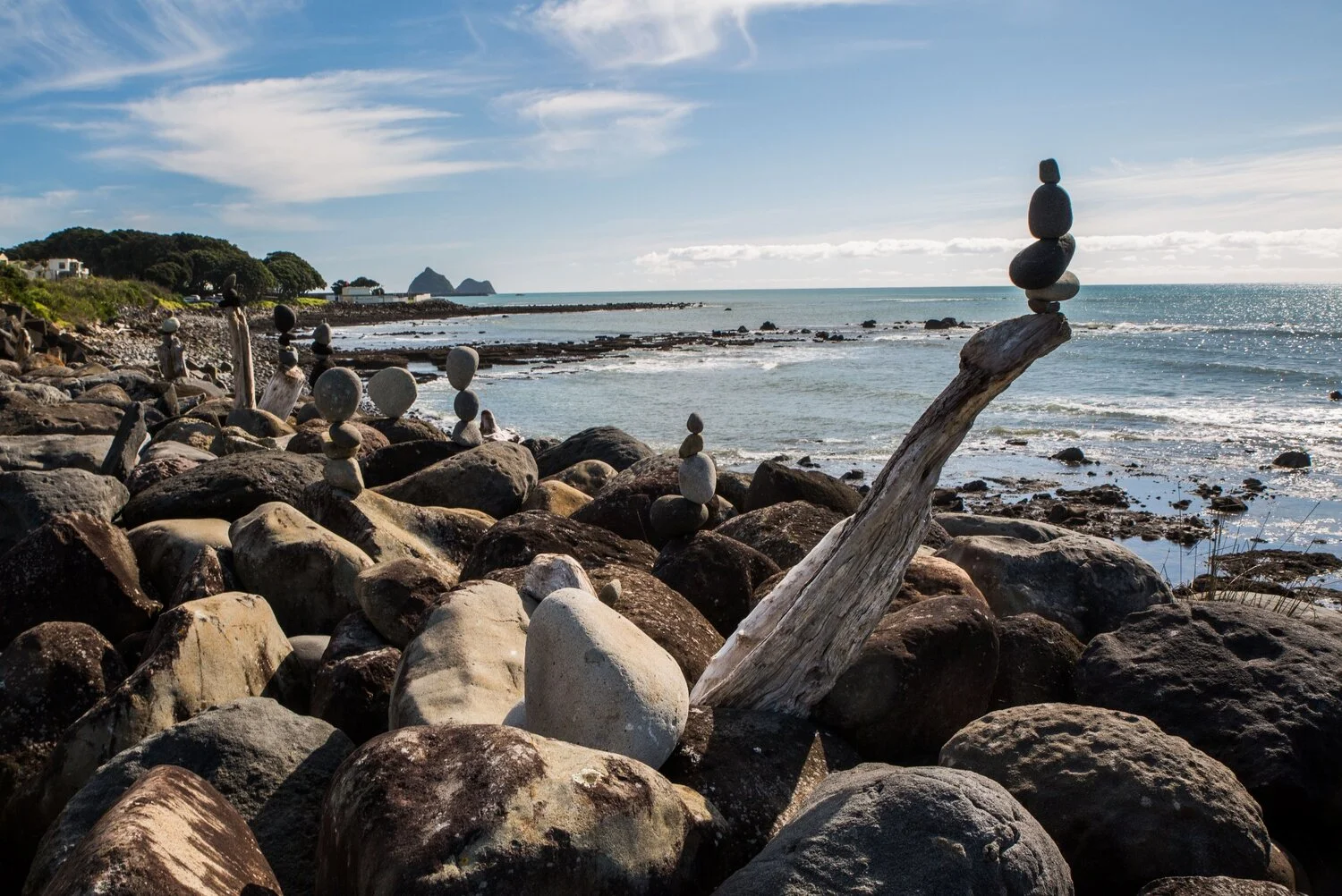 New Plymouth,Coastal Walk,-6258.JPG
