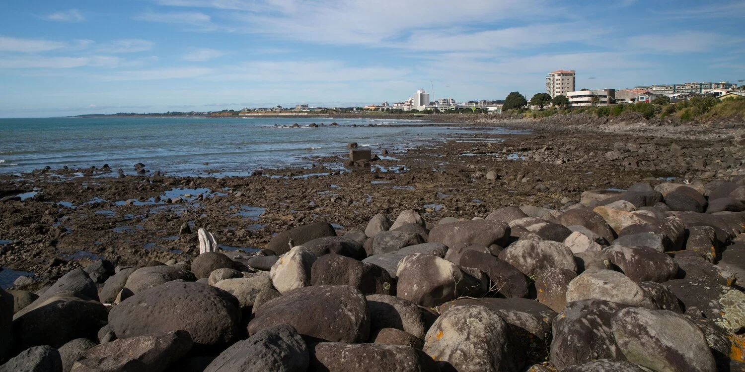 New Plymouth,Coastal Walk,-6263.JPG