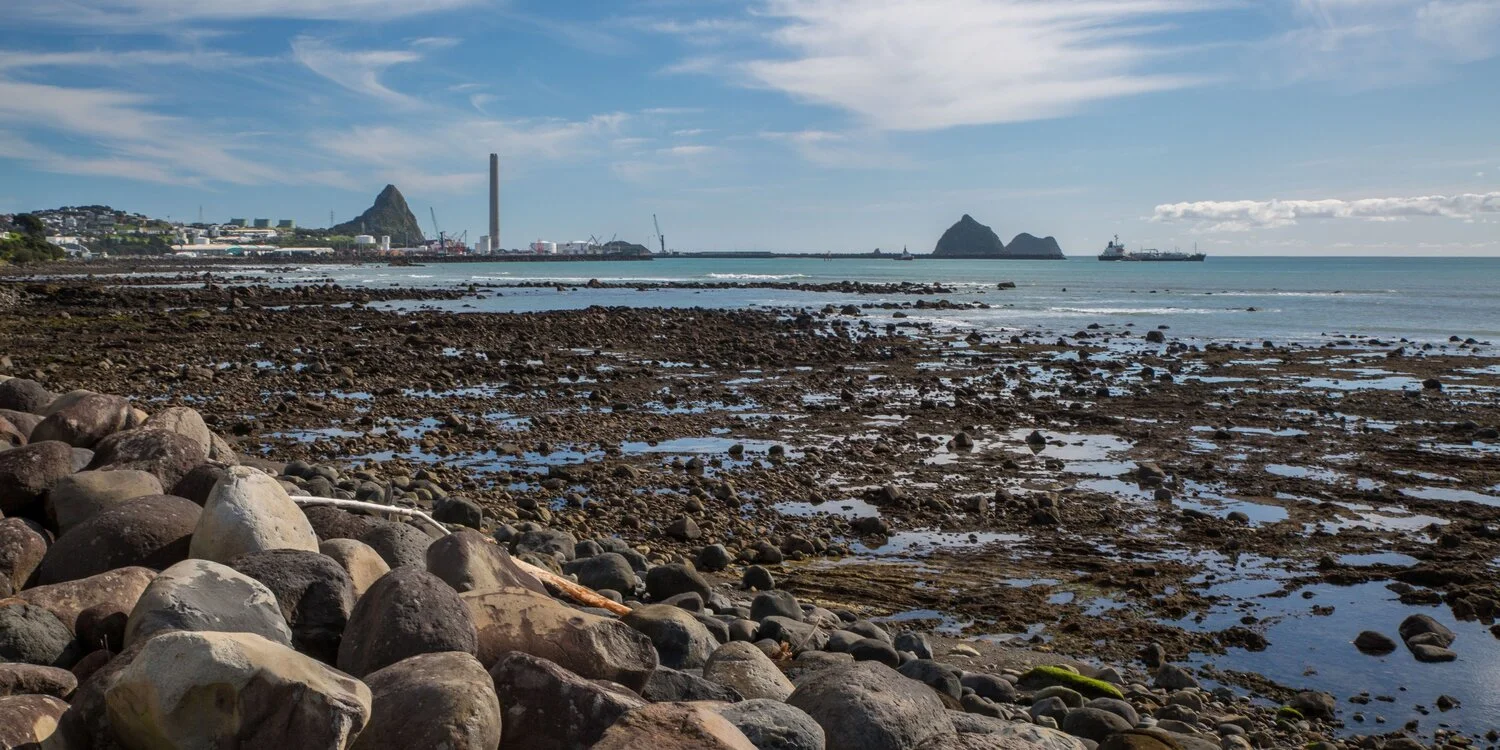 New Plymouth,Coastal Walk,-6264.JPG